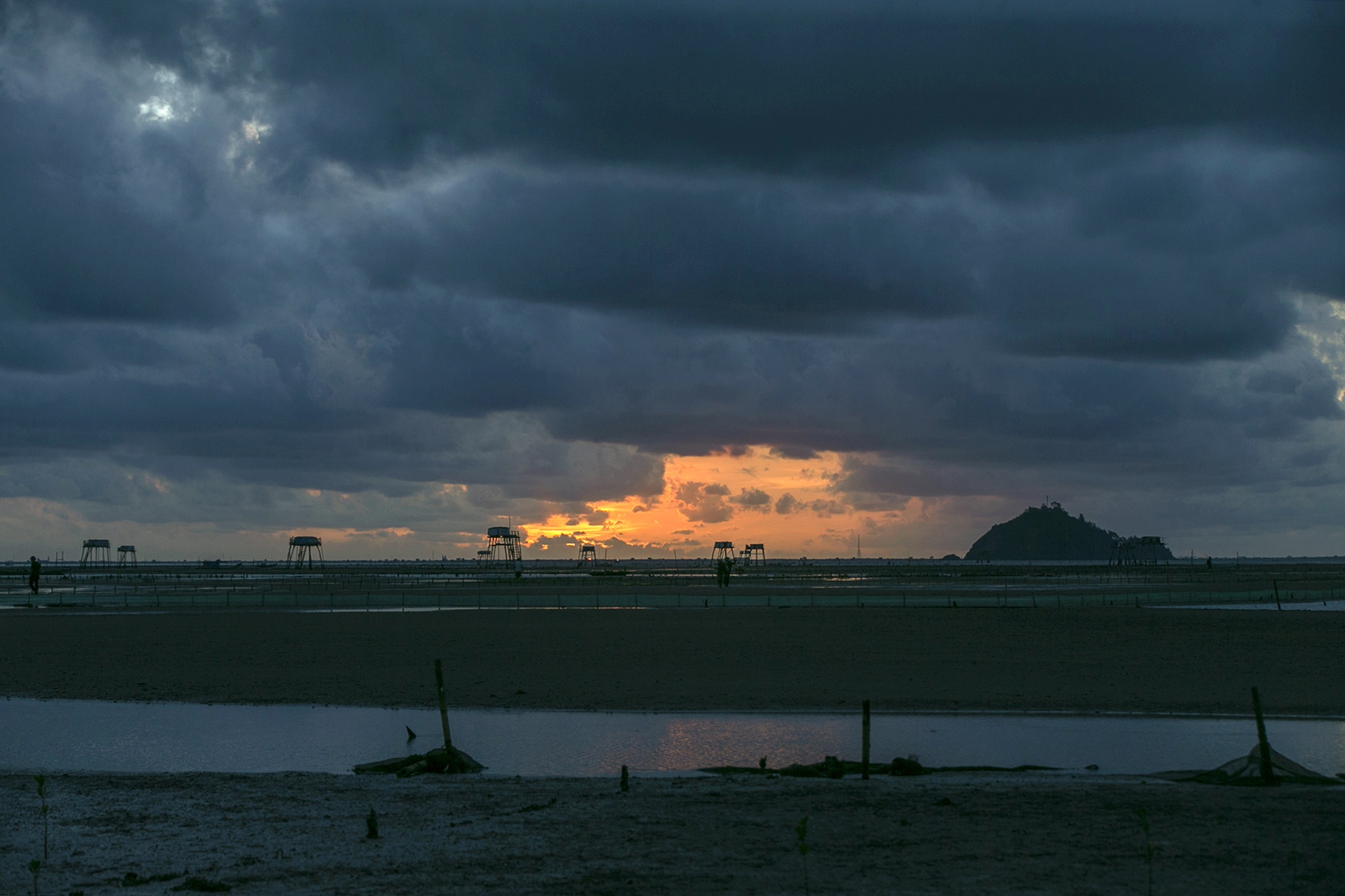 nghề cào ngao ở biển Hậu Lộc ảnh 8 nghe cao ngao o bien Hau Loc anh 8