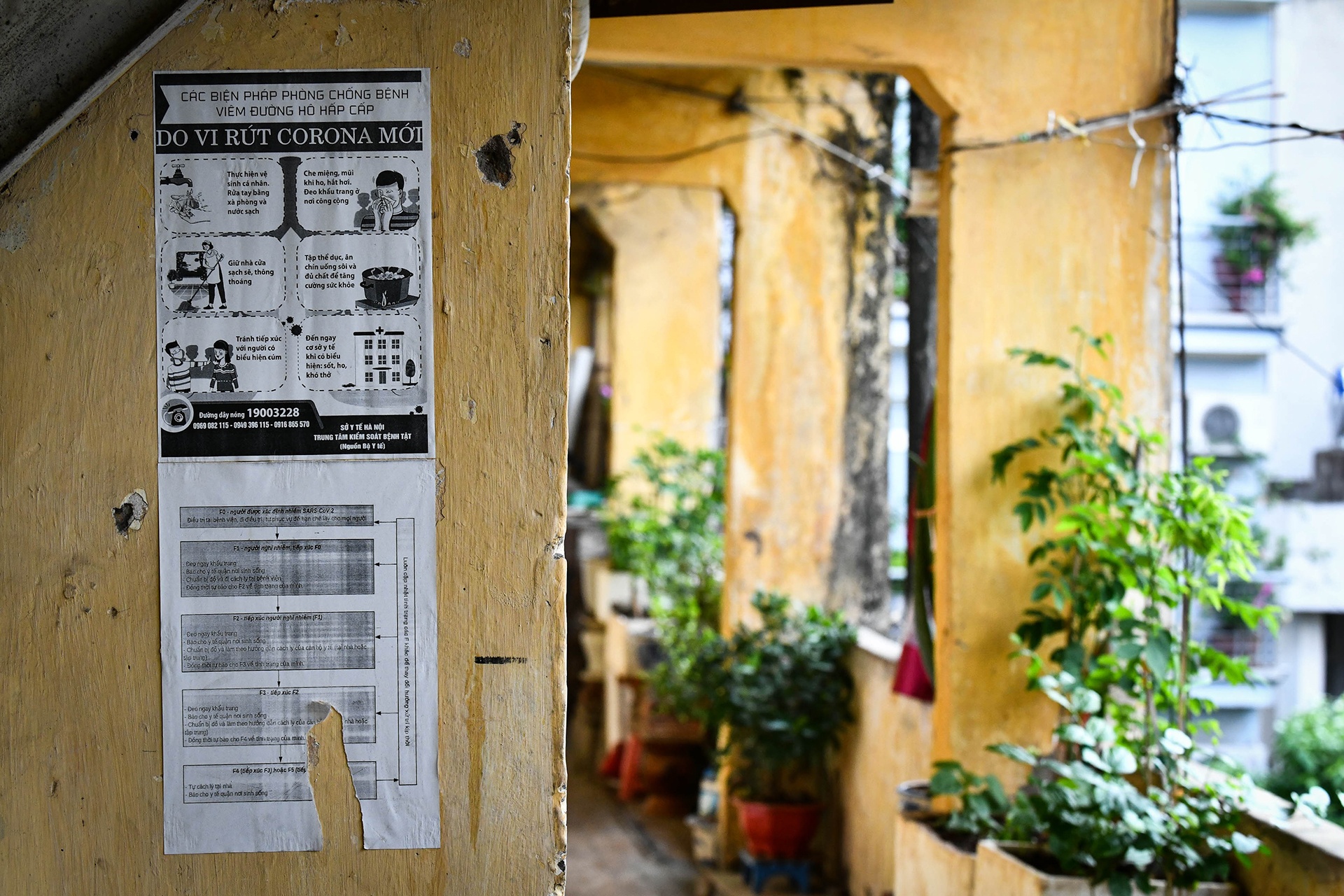 nha tap the bang bo o Ha Noi anh 12