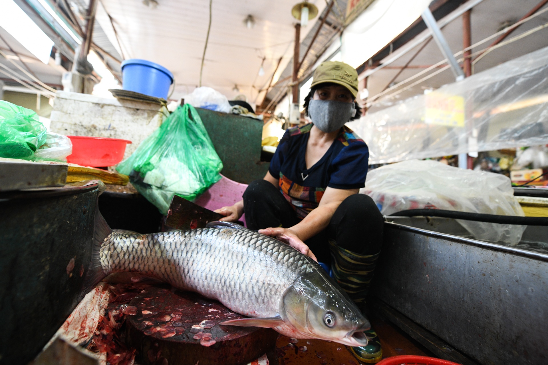 Tieu thuong xin so che xong ca khi cho Linh Lang bi phong toa hinh anh