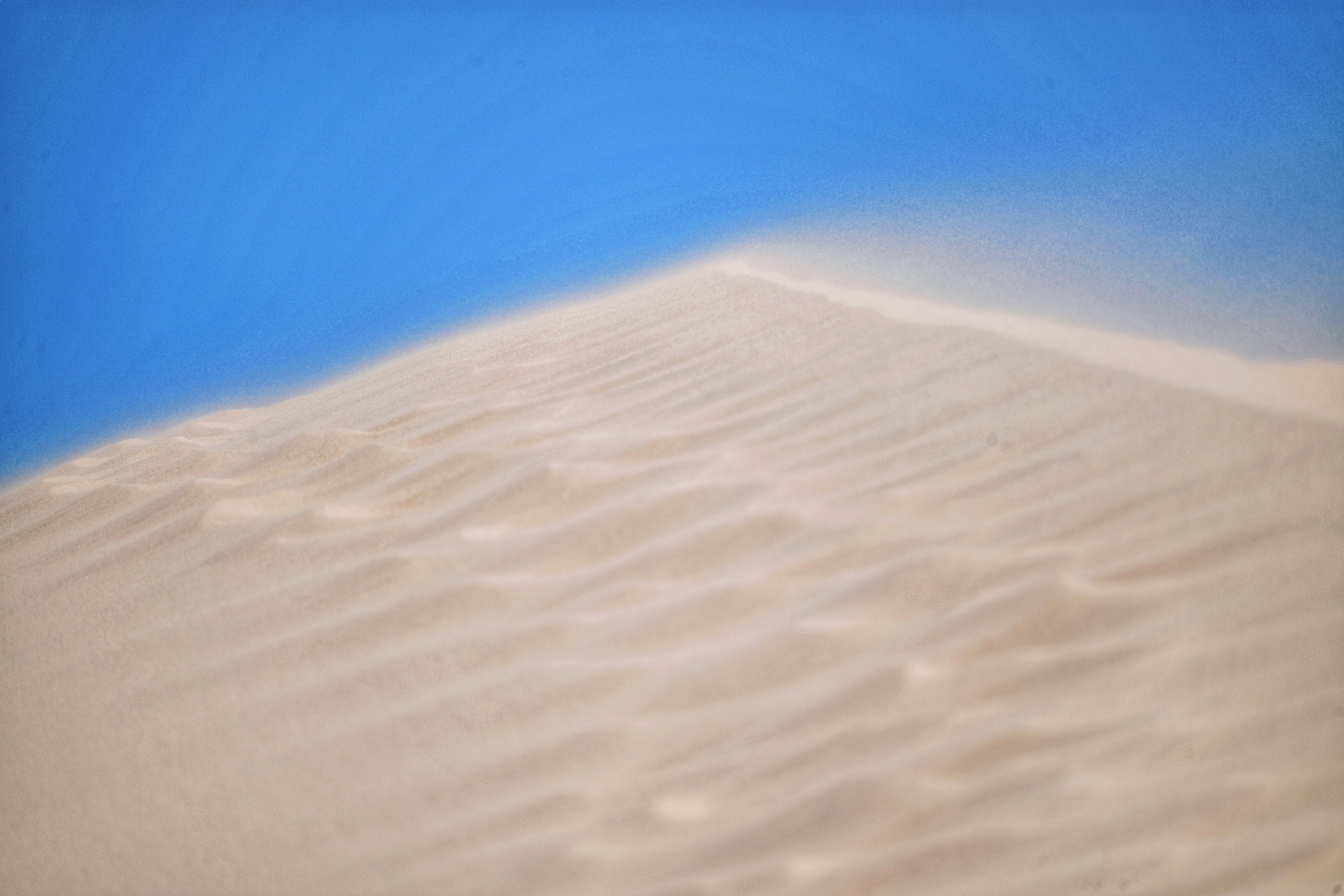 lang thang vung dat nang gio Ninh Thuan anh 4