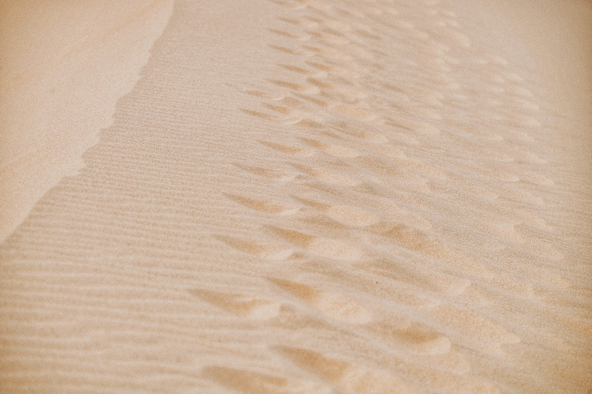 lang thang vung dat nang gio Ninh Thuan anh 3