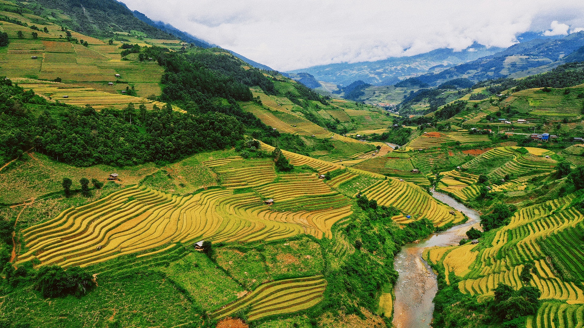 mien nui bien dao mua dich anh 3