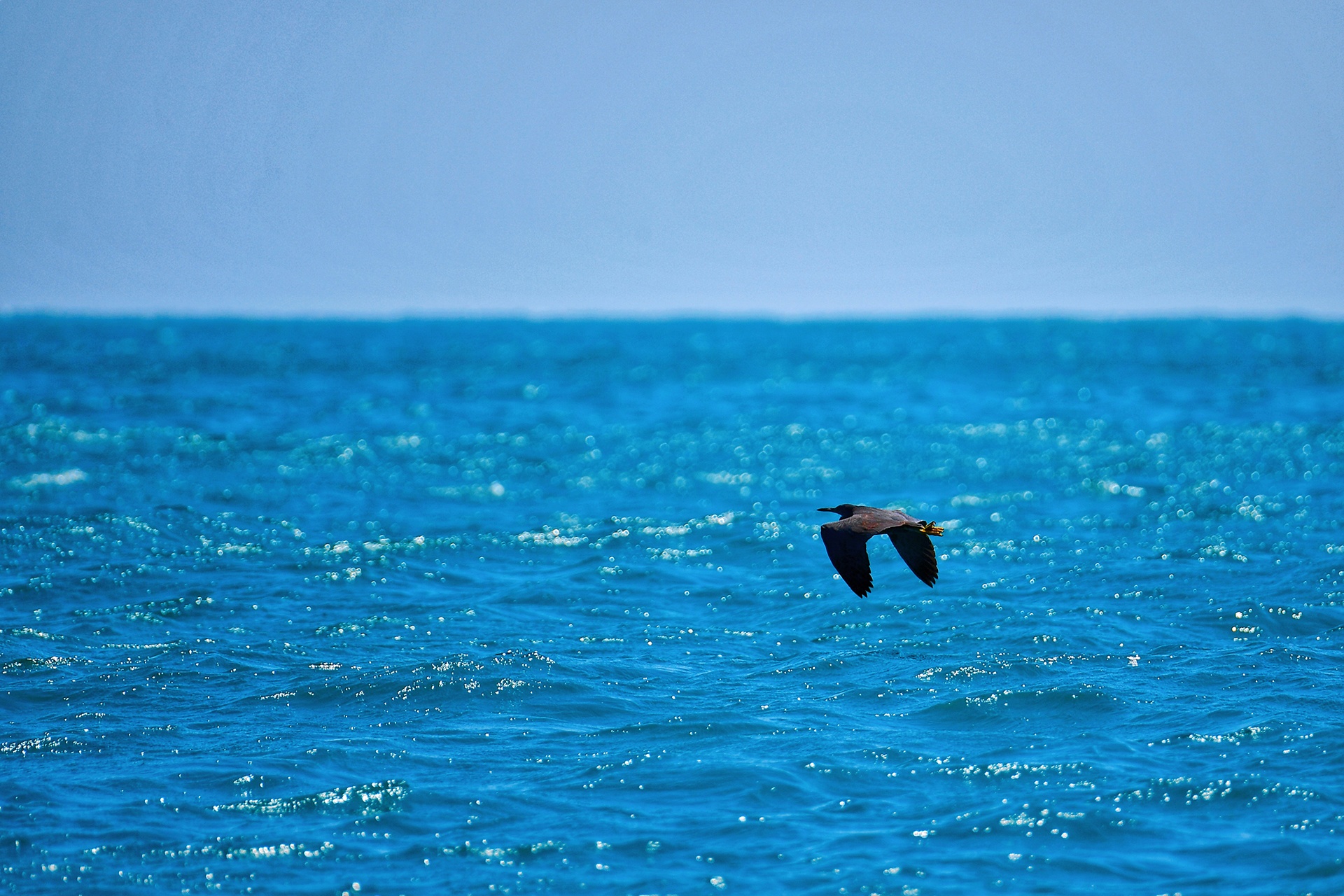 lang thang vung dat nang gio Ninh Thuan anh 52