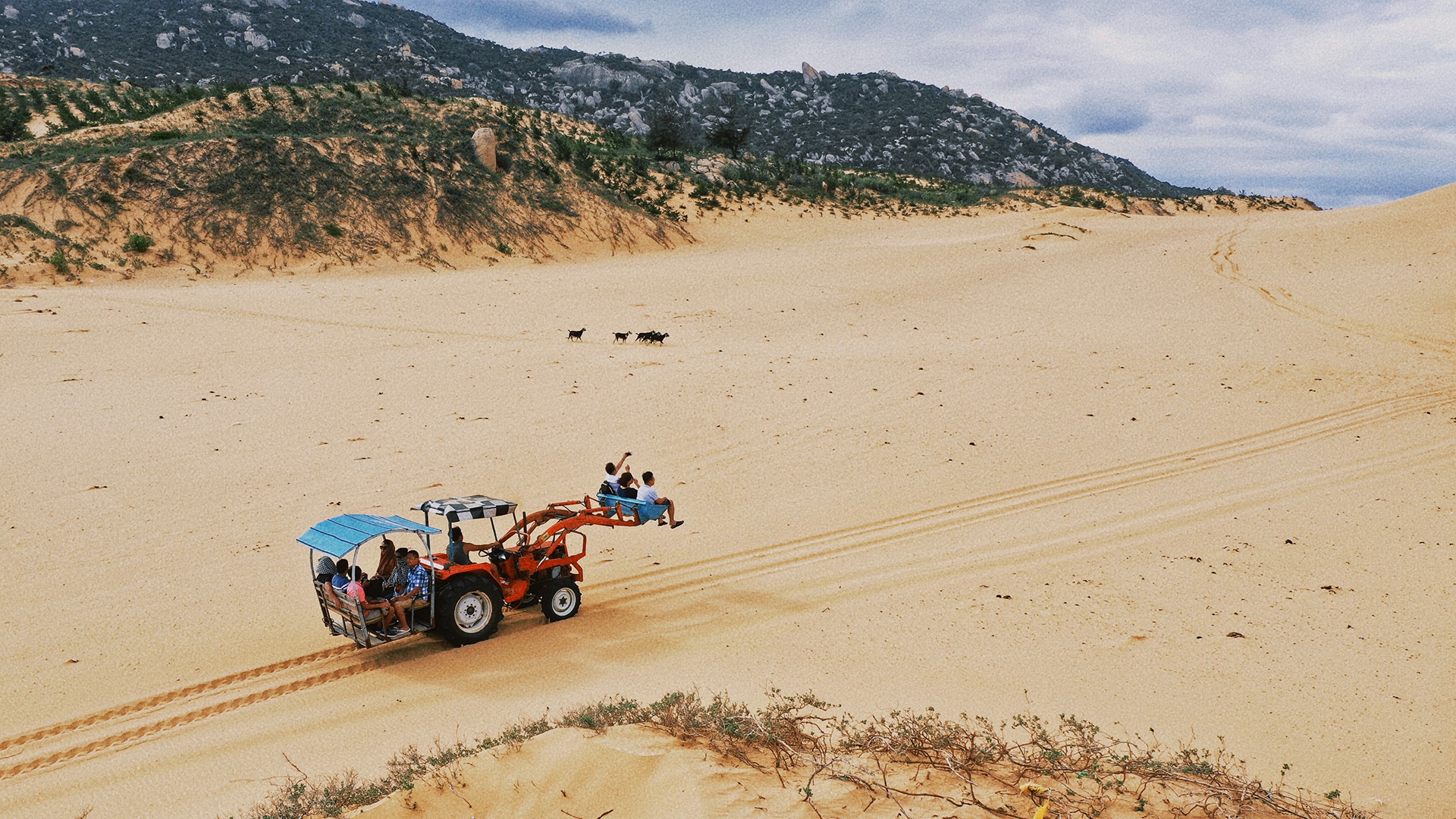 lang thang vung dat nang gio Ninh Thuan anh 28