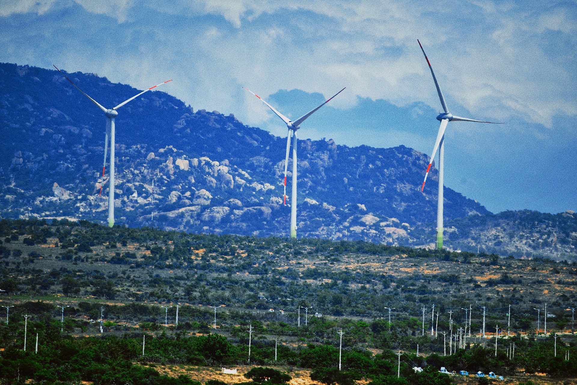 lang thang vung dat nang gio Ninh Thuan anh 24