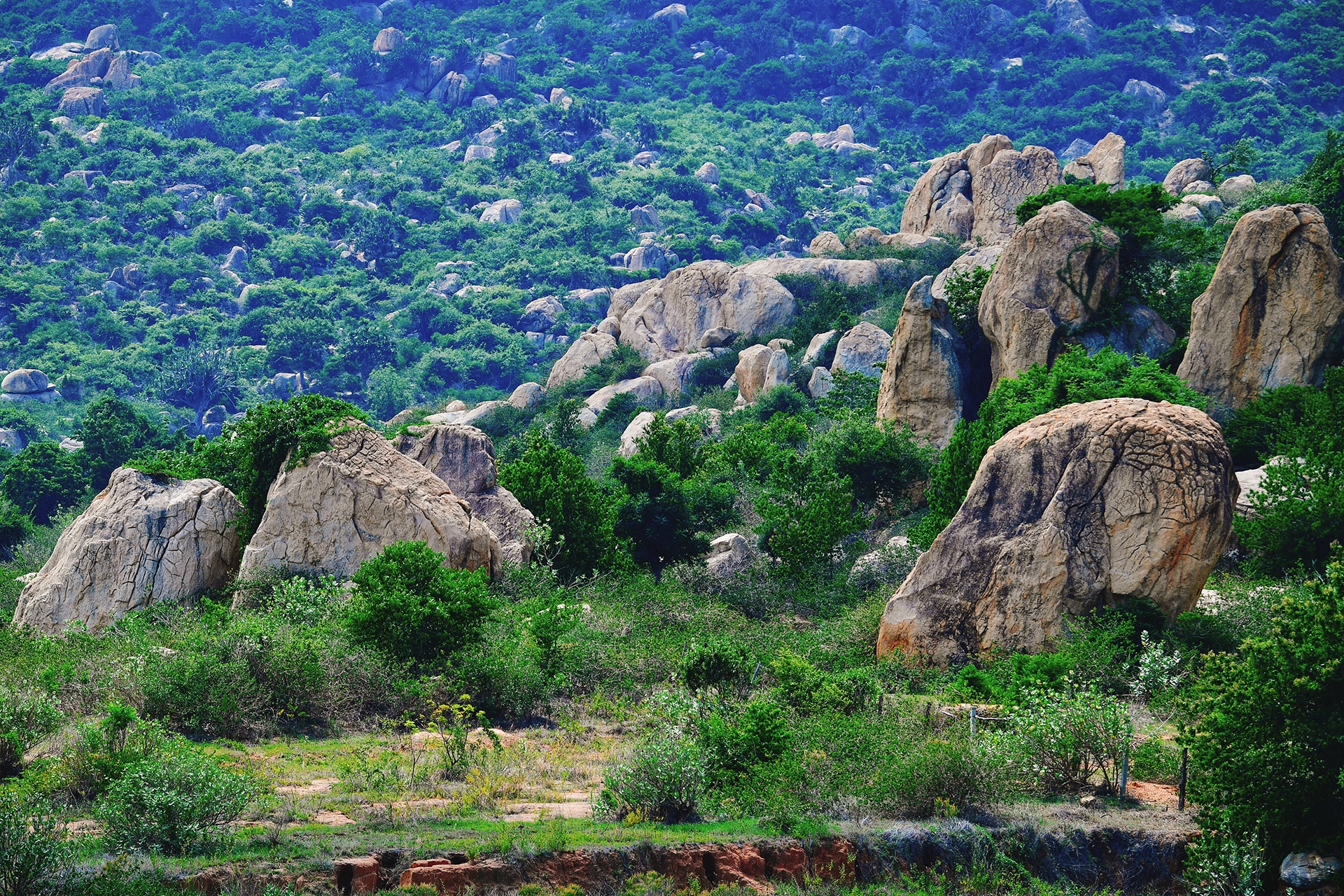 lang thang vung dat nang gio Ninh Thuan anh 25