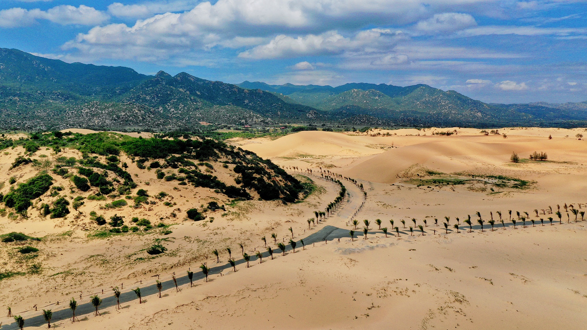 lang thang vung dat nang gio Ninh Thuan anh 22