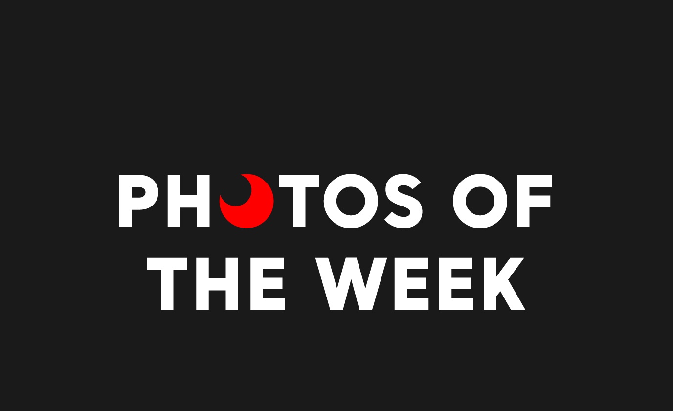 photo of the week tren Zing anh 1