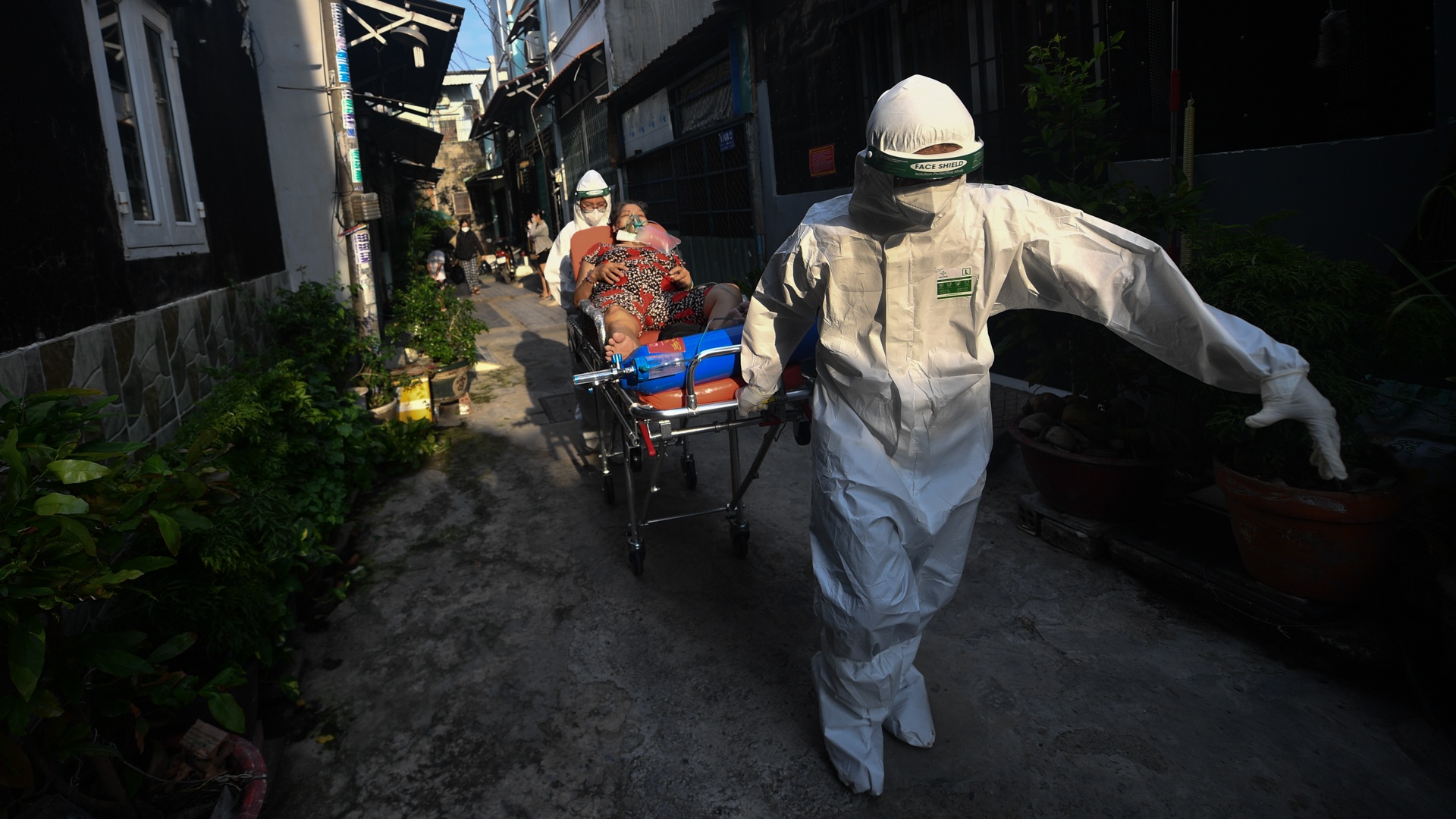 photo of the week tren Zing anh 2