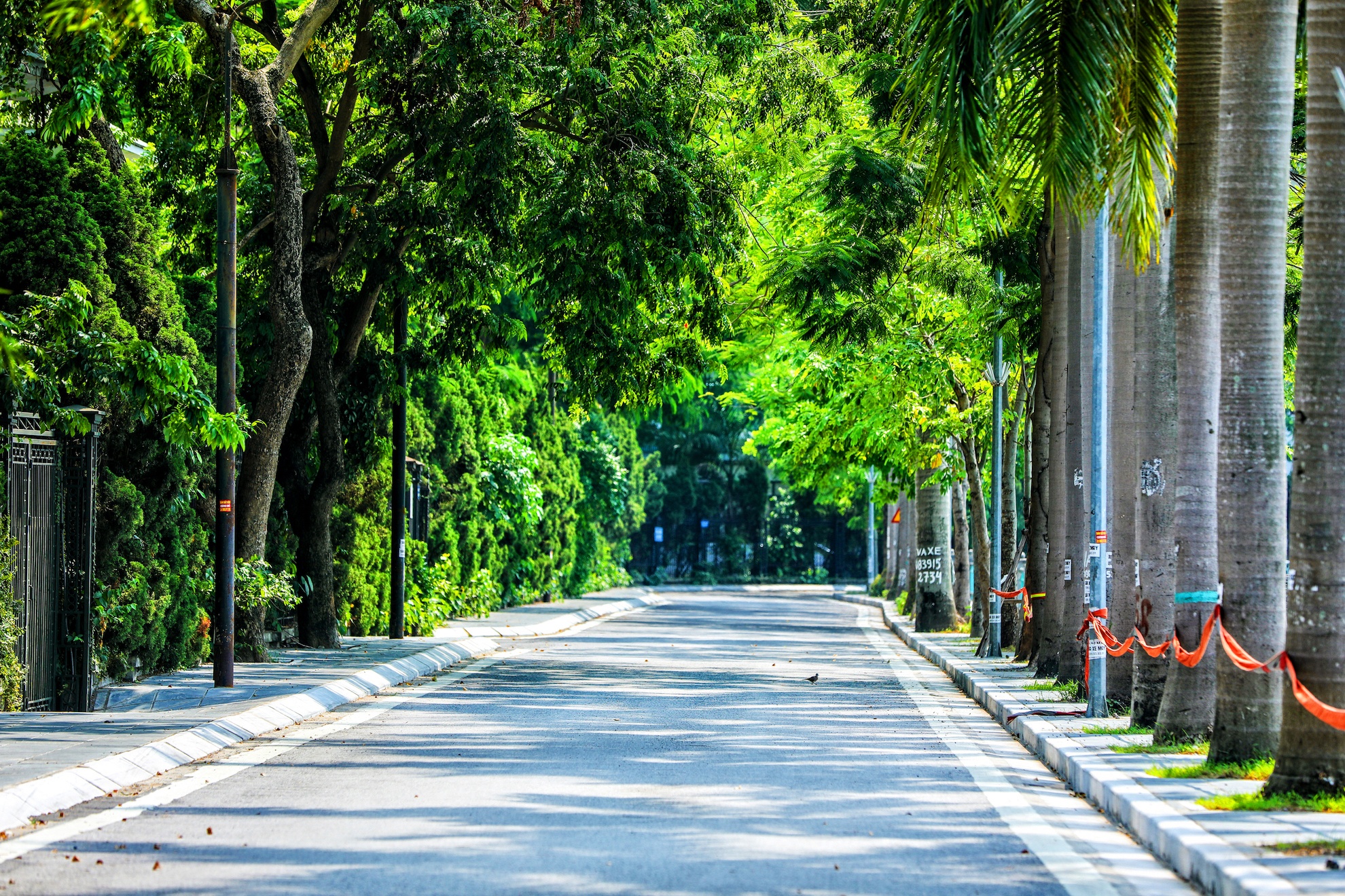 Ha Noi vang ve trong dai dich Covid-19 anh 24