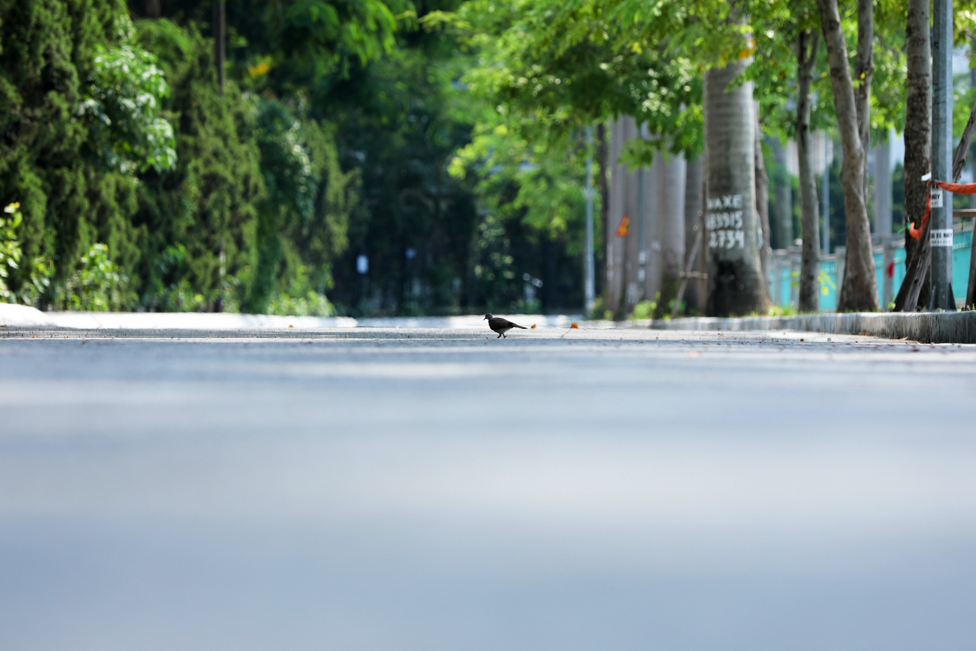 Ha Noi vang ve trong dai dich Covid-19 anh 28