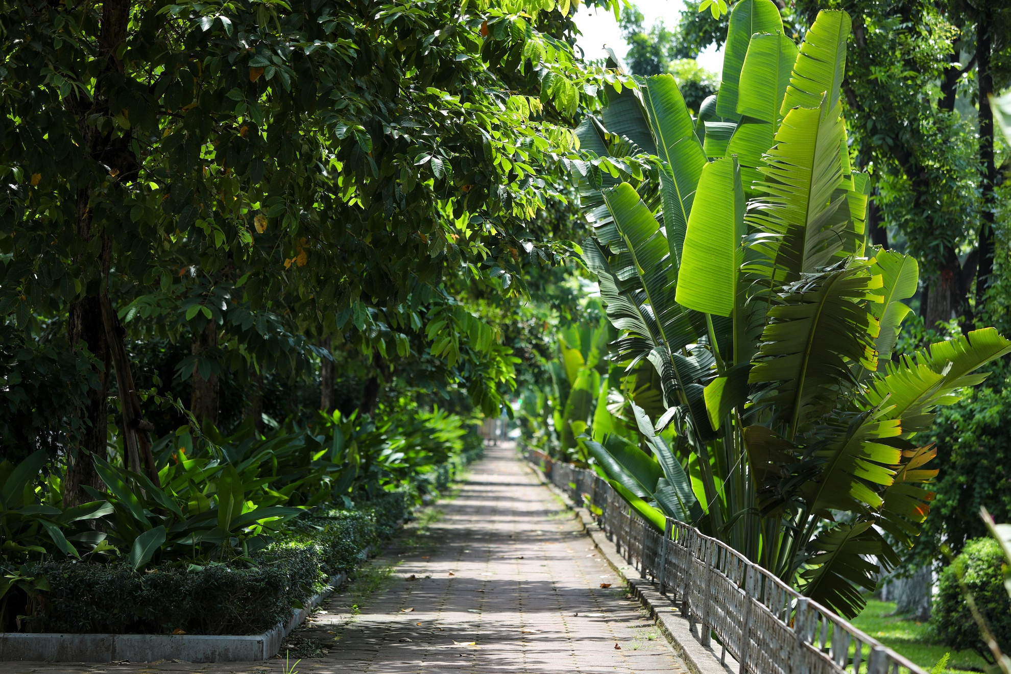 Ha Noi vang ve trong dai dich Covid-19 anh 42