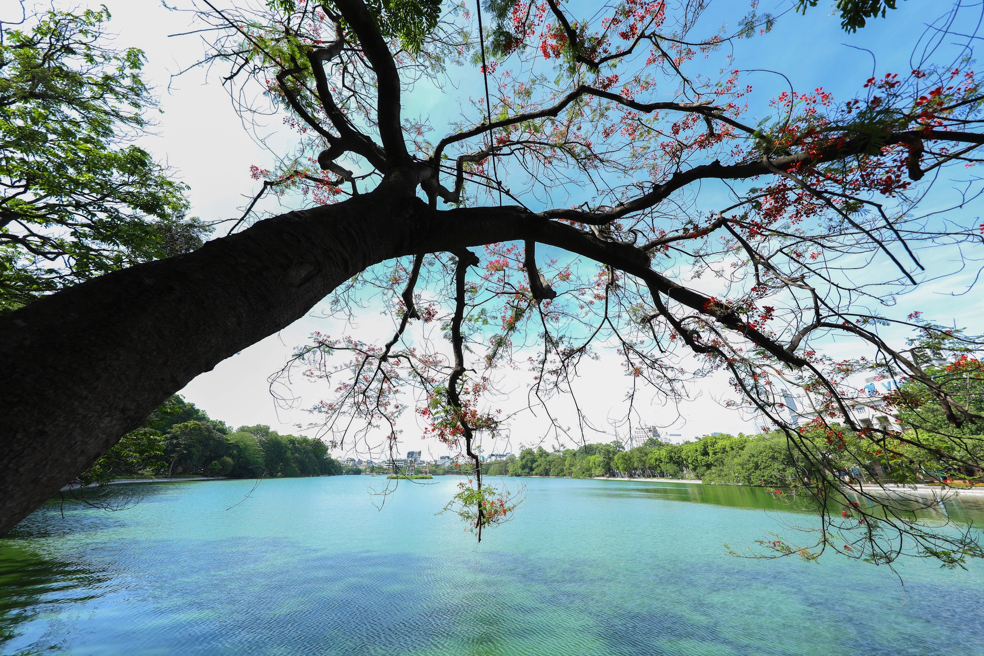 Ha Noi vang ve trong dai dich Covid-19 anh 40