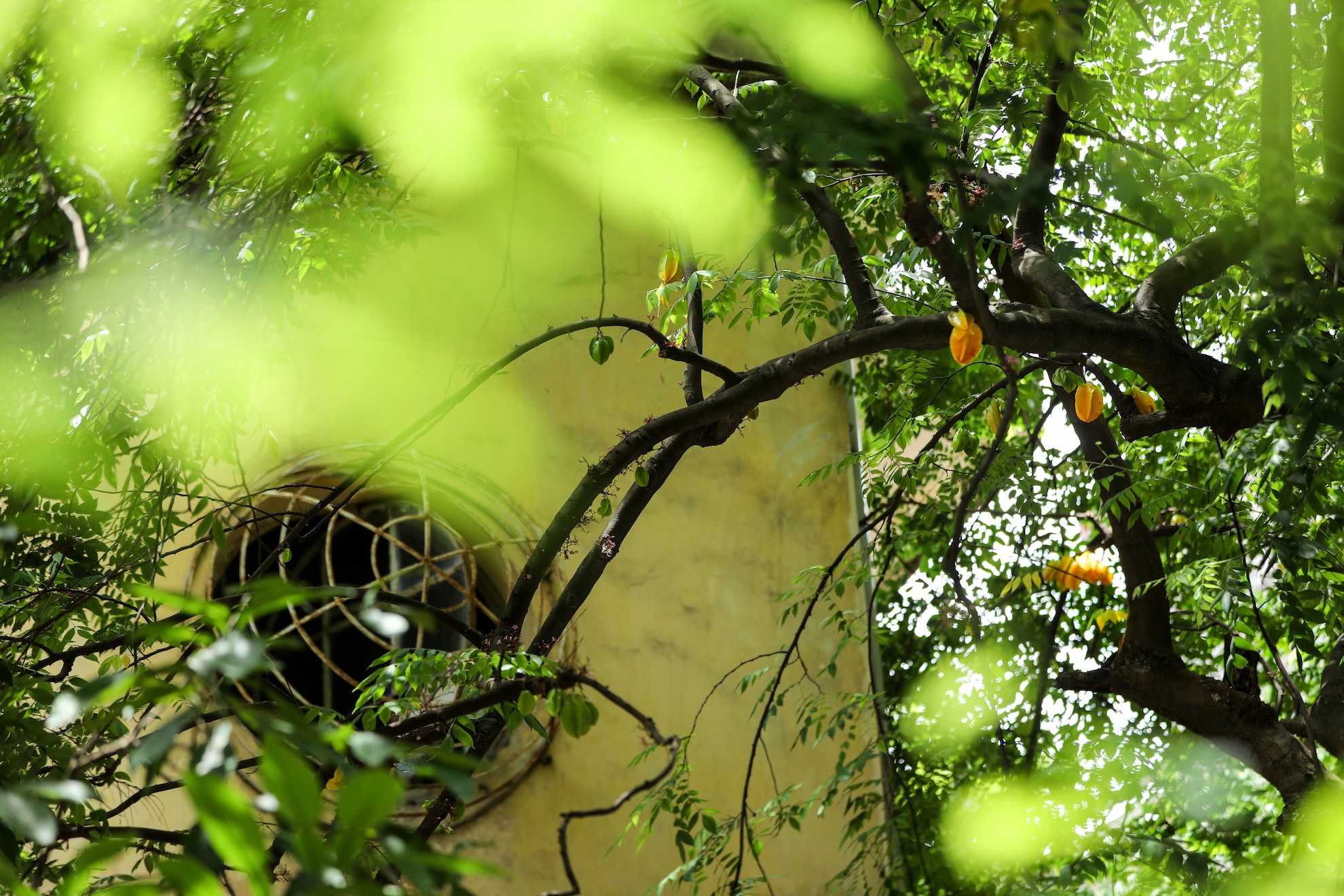 Ha Noi vang ve trong dai dich Covid-19 anh 46