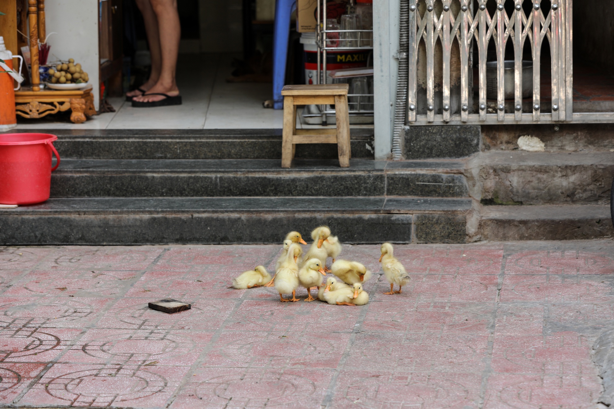 Ha Noi vang ve trong dai dich Covid-19 anh 19