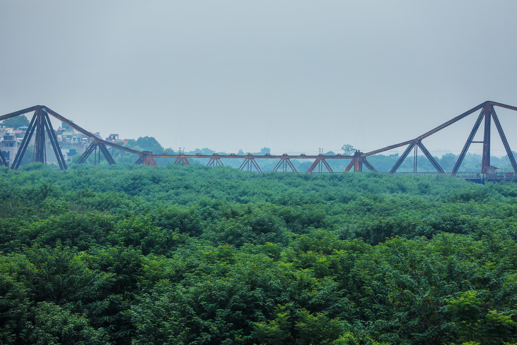 Ha Noi vang ve trong dai dich Covid-19 anh 54