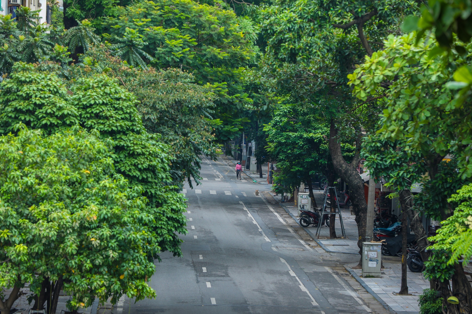 Ha Noi vang ve trong dai dich Covid-19 anh 45