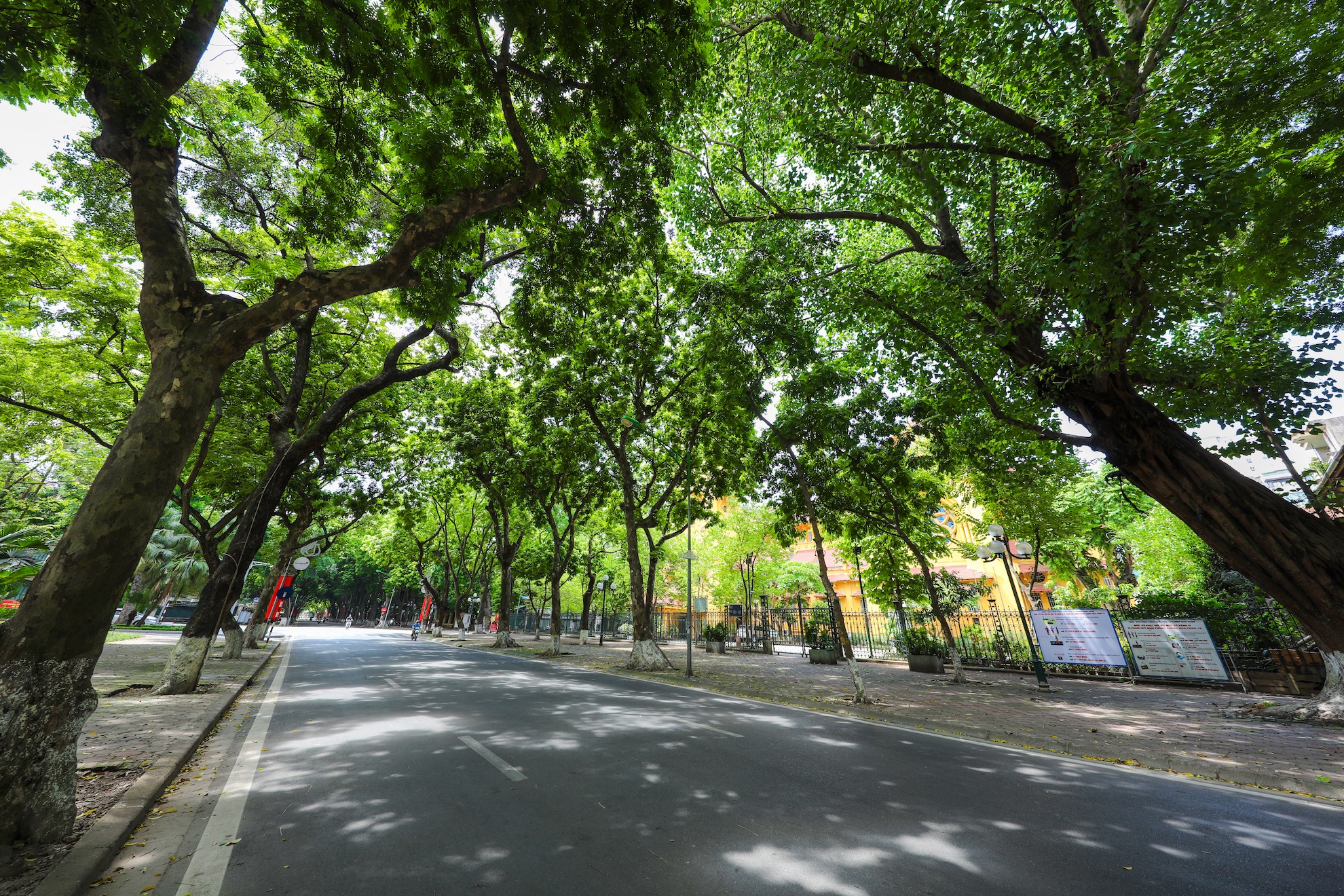 Ha Noi vang ve trong dai dich Covid-19 anh 49