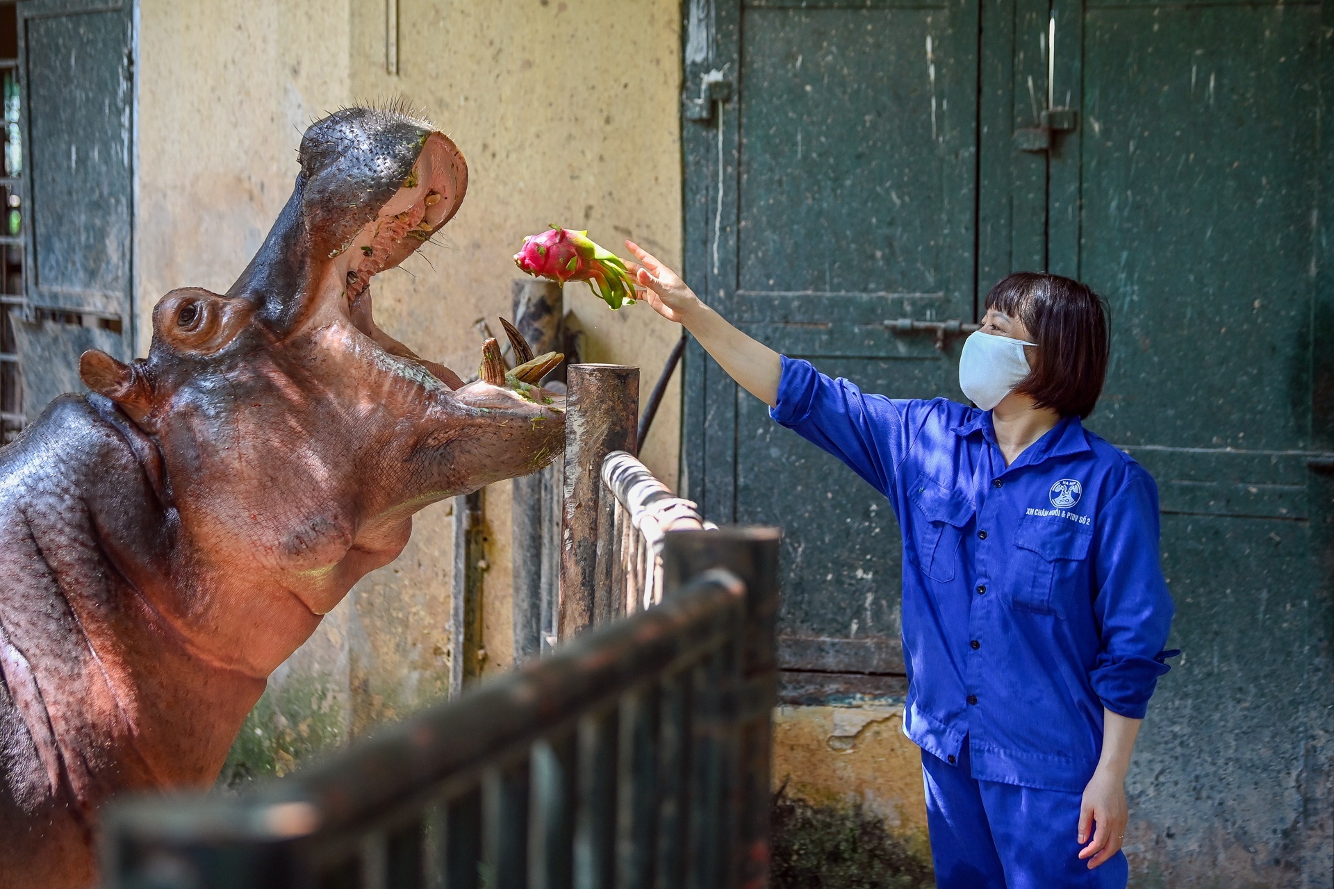 anh dep tuan qua anh 8