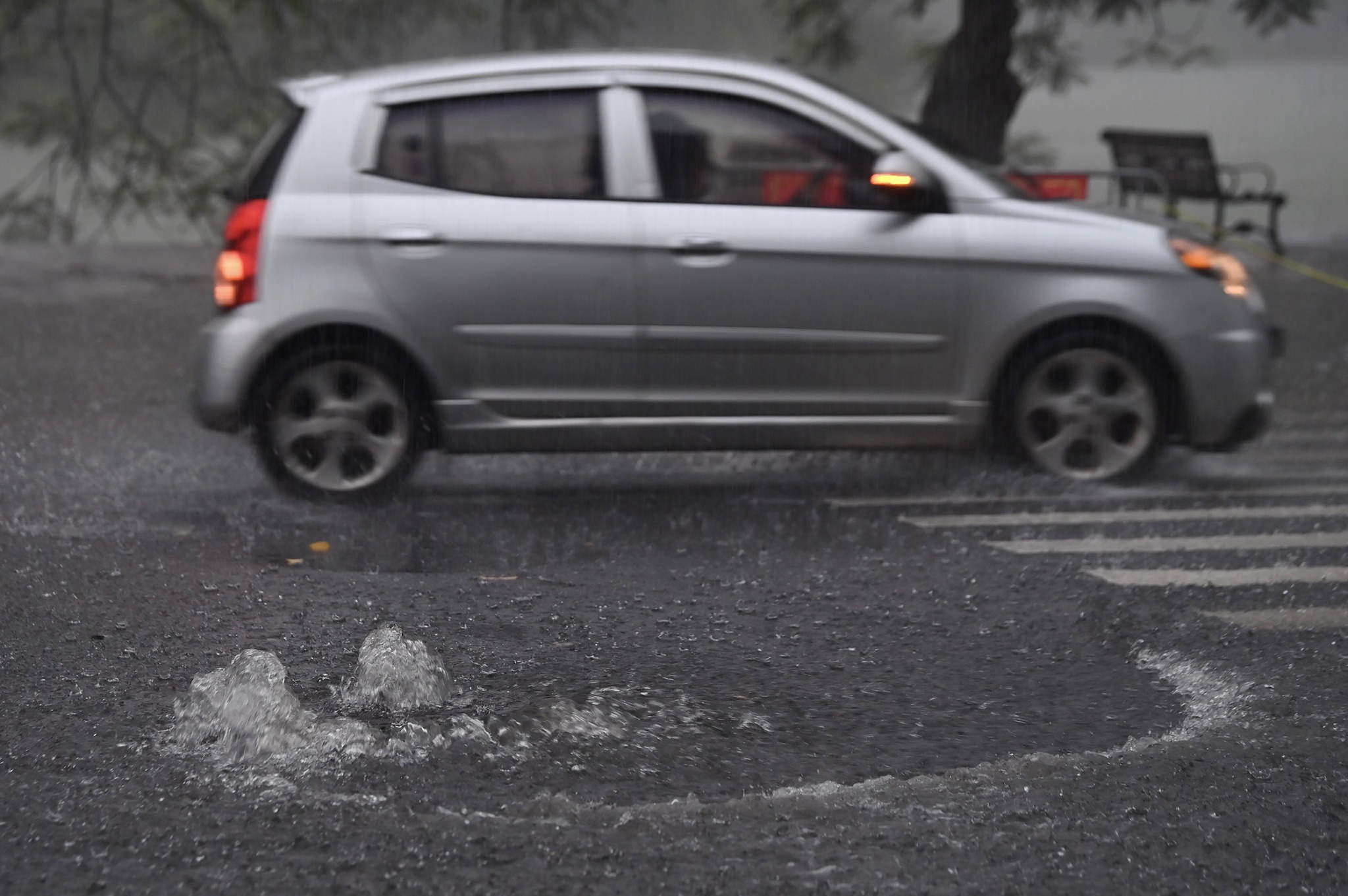 mua lon gay ngap ung thu do anh 8