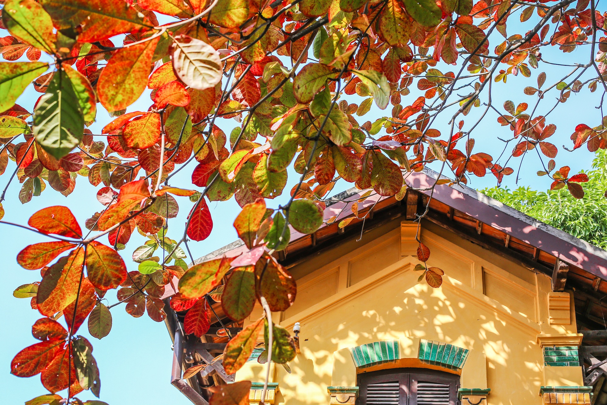 khoanh khac ve Ha Noi anh 9