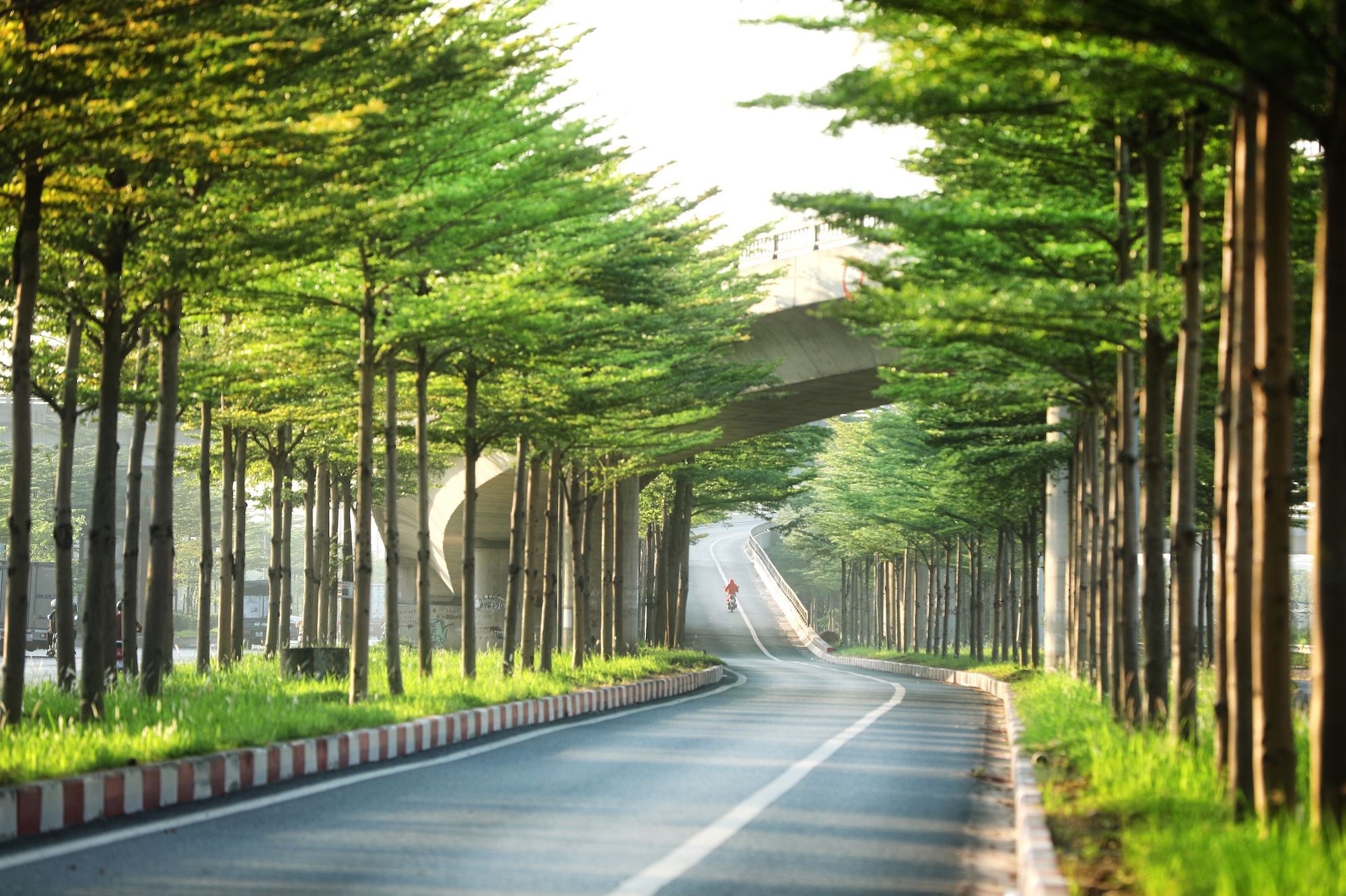 khoanh khac ve Ha Noi anh 6
