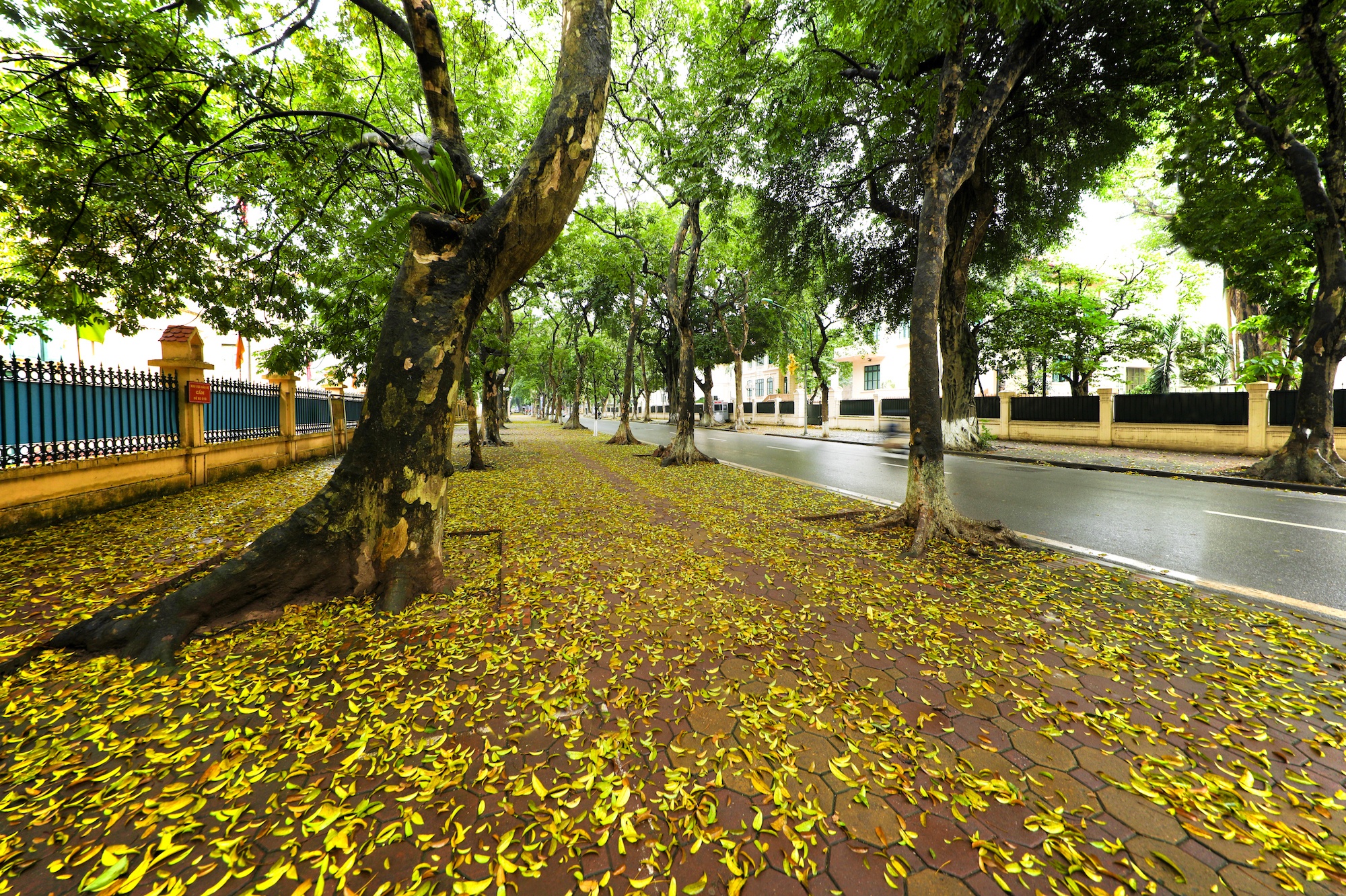 khoanh khac ve Ha Noi anh 7