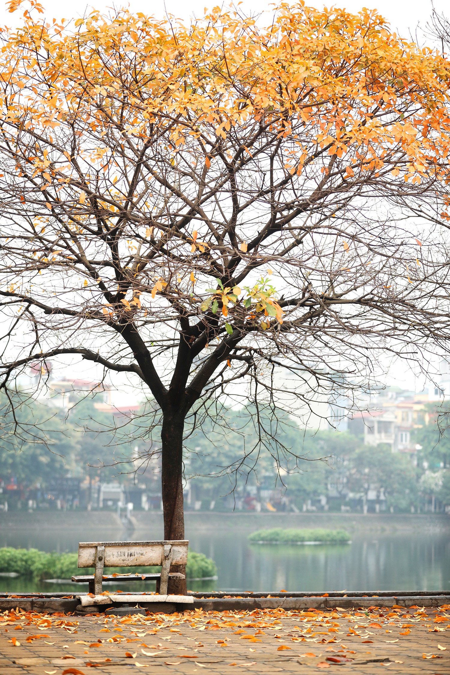 khoanh khac ve Ha Noi anh 13