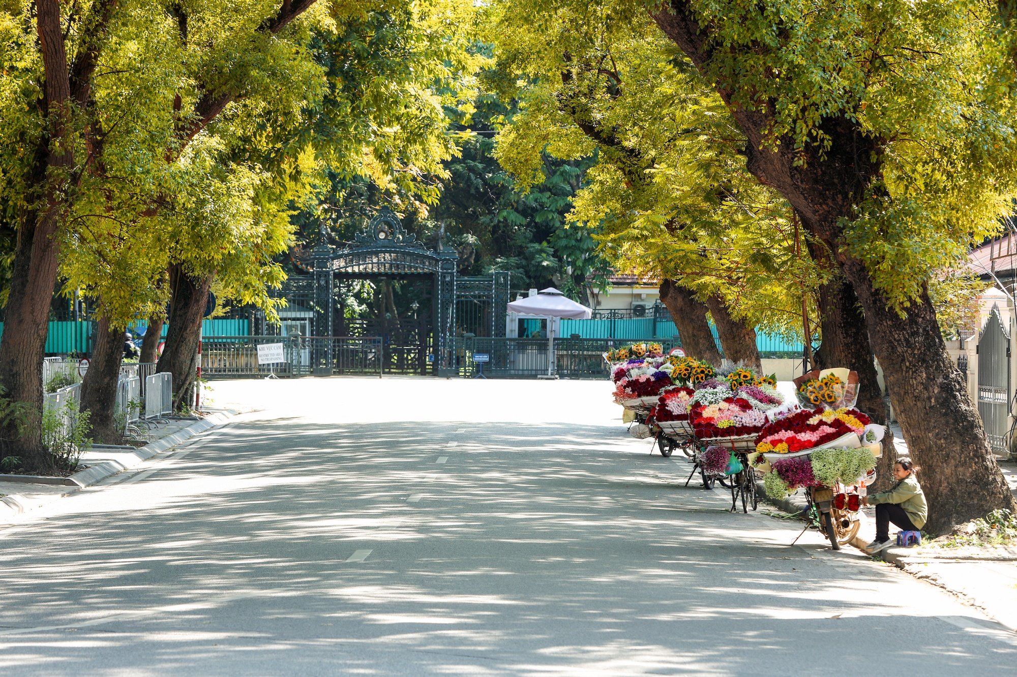 khoanh khac ve Ha Noi anh 46