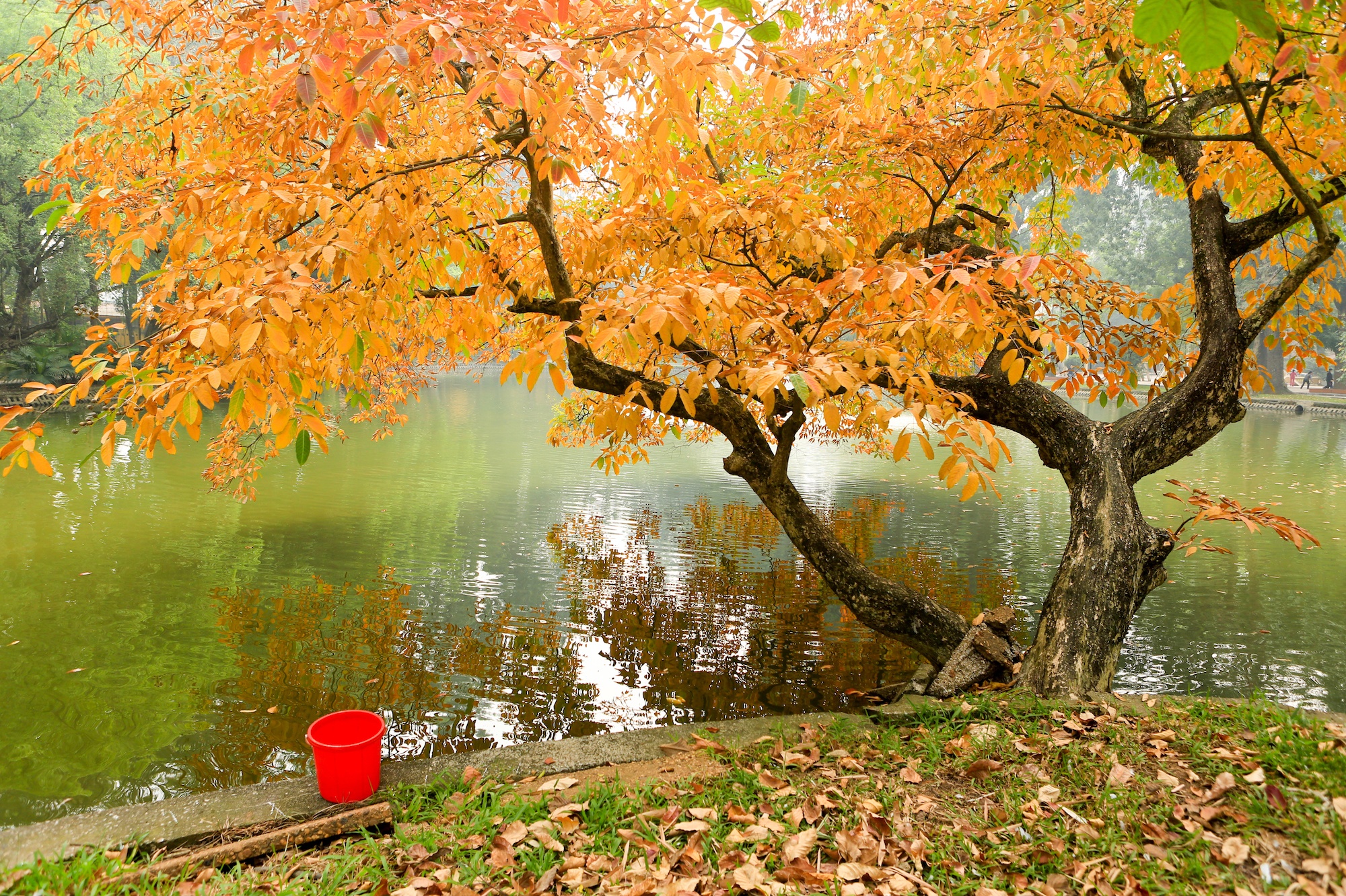 khoanh khac ve Ha Noi anh 43