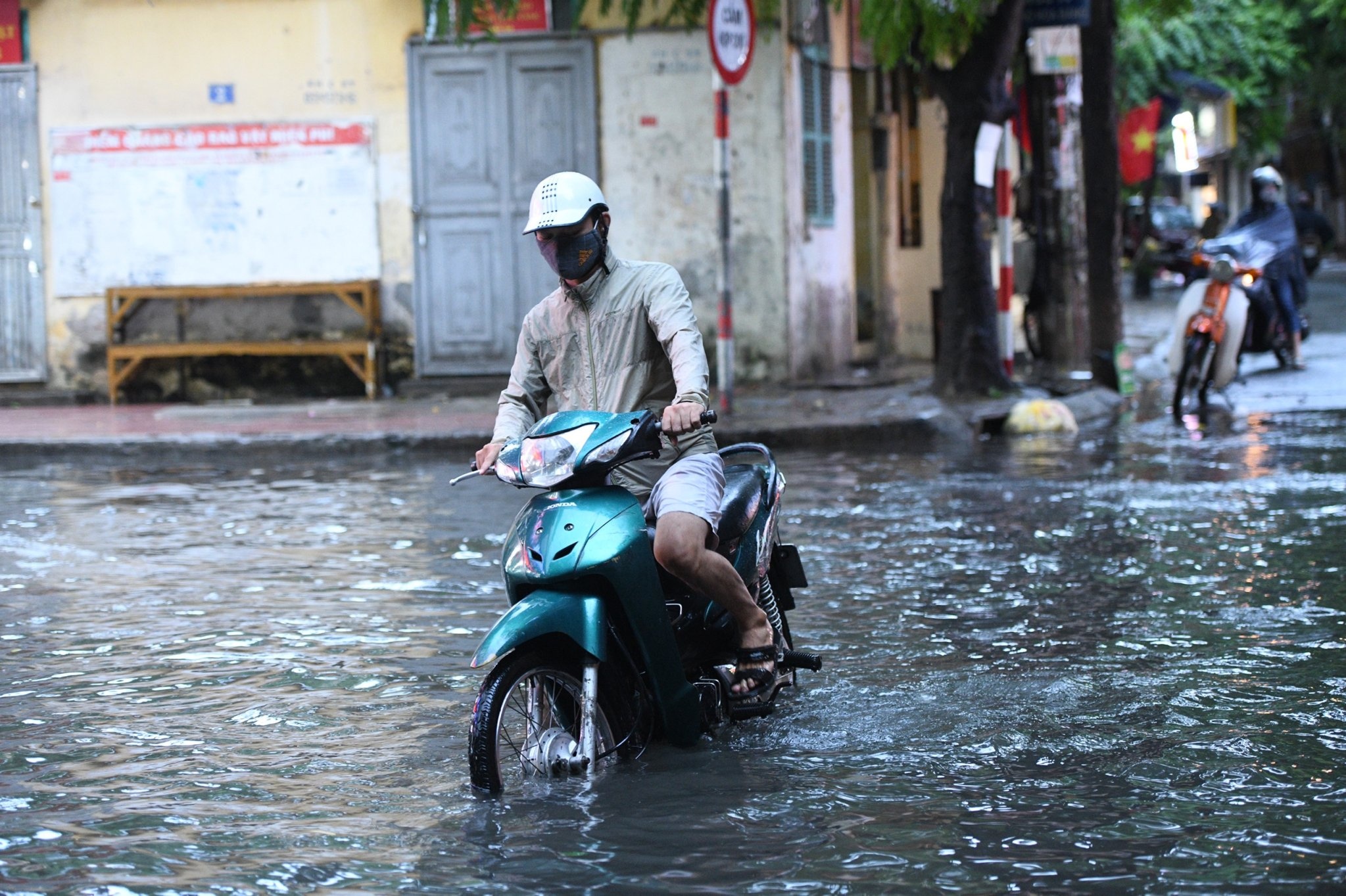 mua lon gay ngap ung thu do anh 5