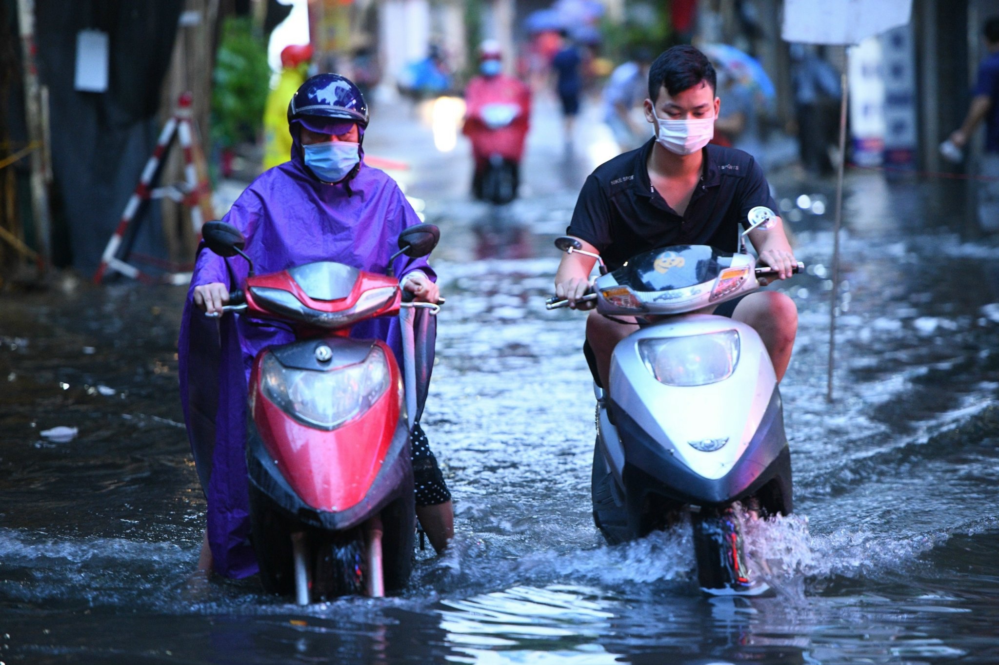 mua lon gay ngap ung thu do anh 6