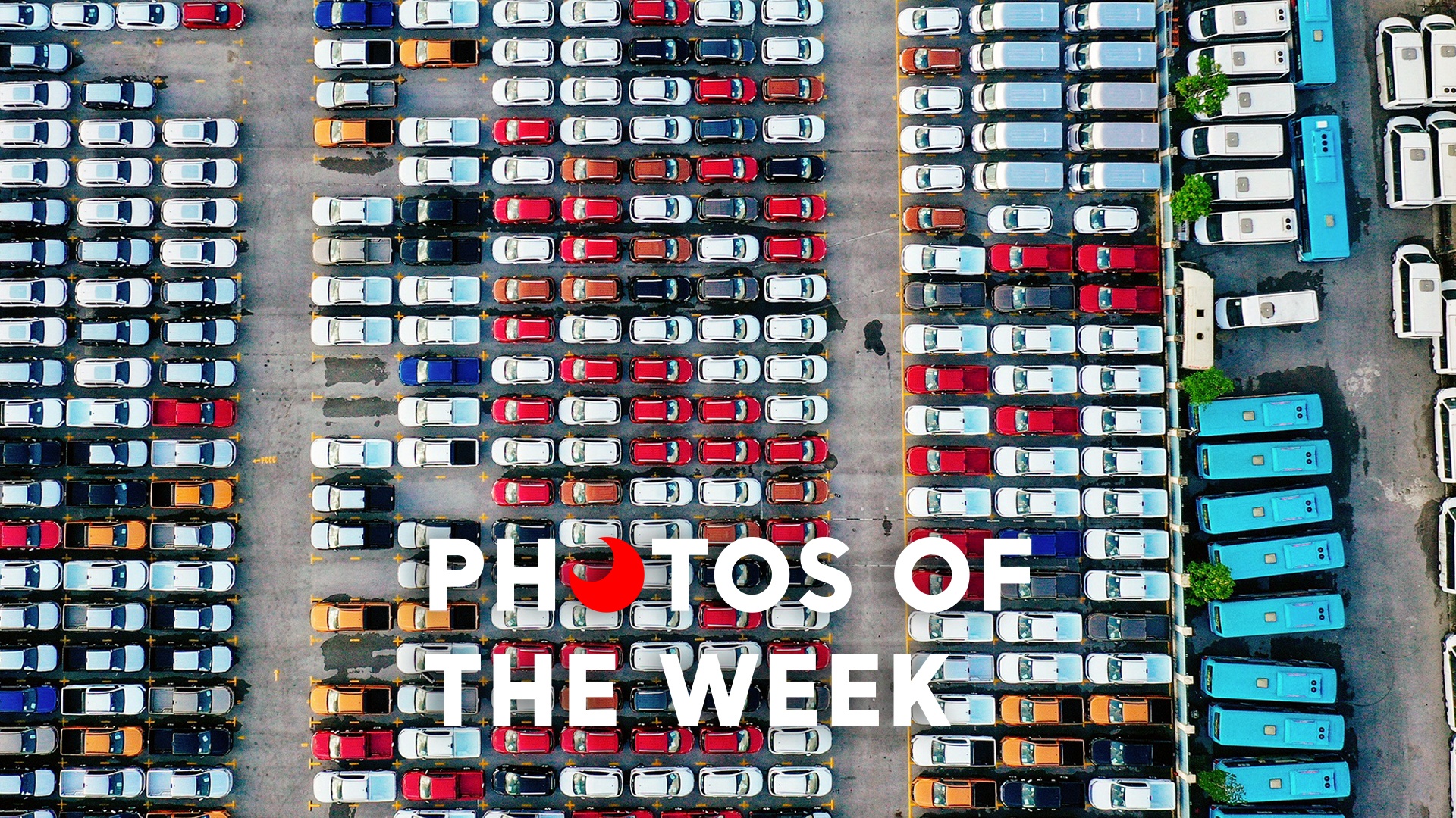 Anh trong tuan: Dan oto moi cung phoi nang, bo doi di cho ho F0 hinh anh