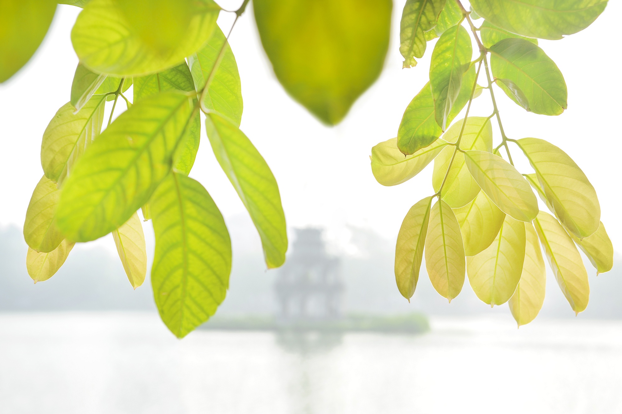 khong khi mua thu o Ha Noi anh 58