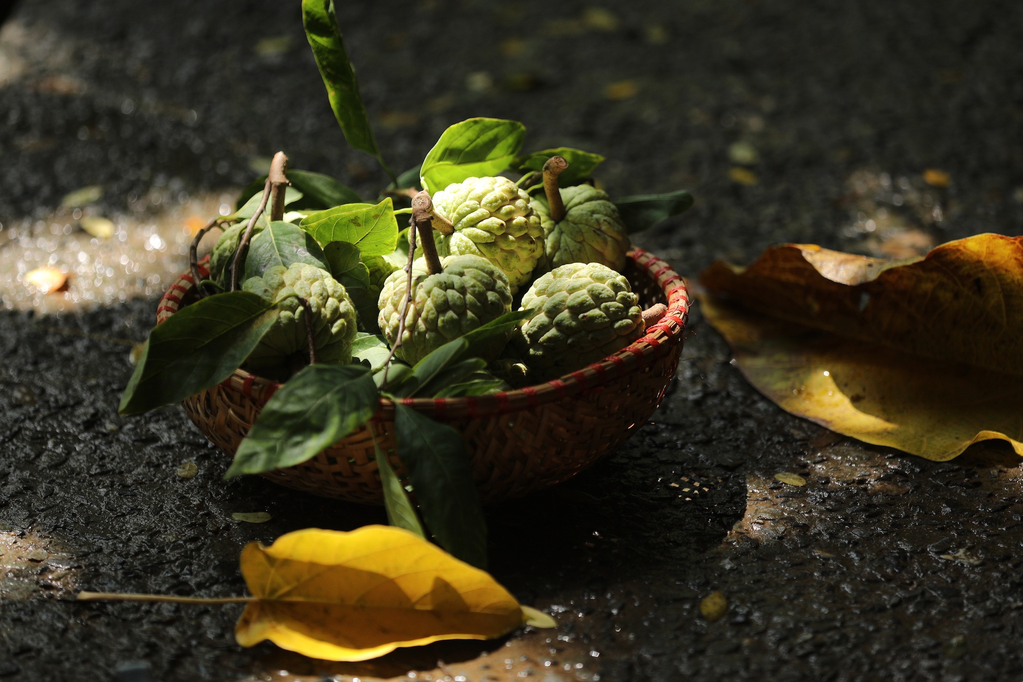 khong khi mua thu o Ha Noi anh 33