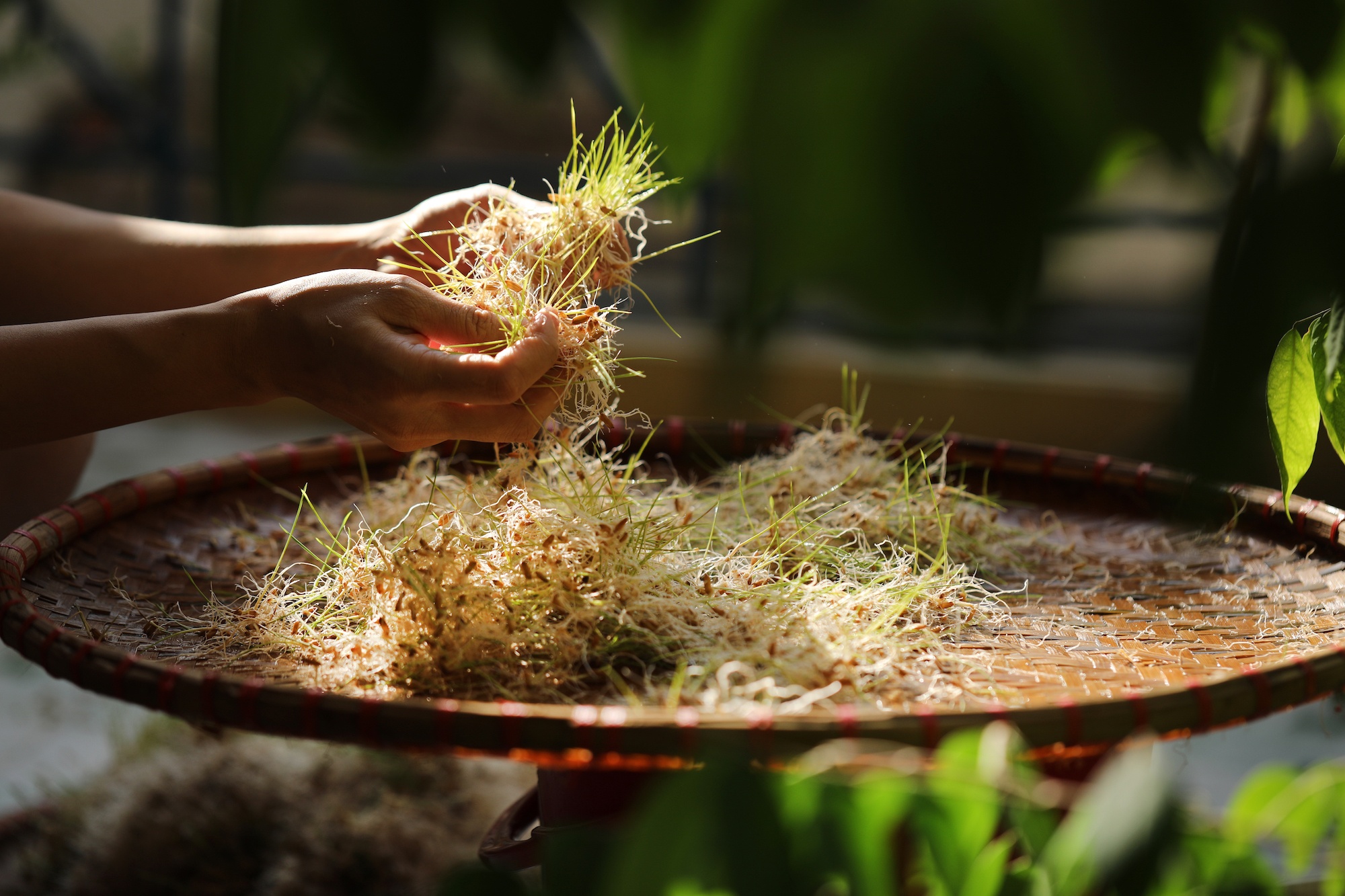 khong khi mua thu o Ha Noi anh 32