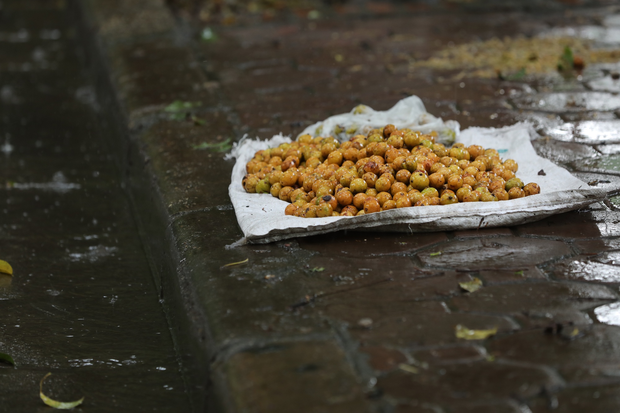 khong khi mua thu o Ha Noi anh 34