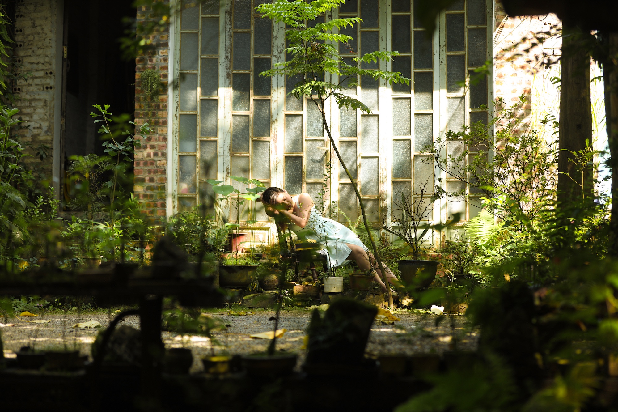 khong khi mua thu o Ha Noi anh 7