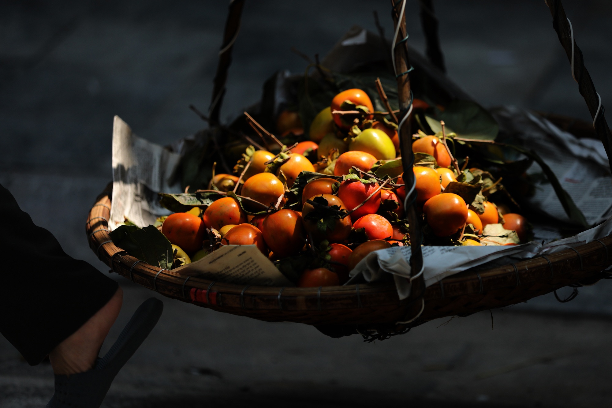 khong khi mua thu o Ha Noi anh 35