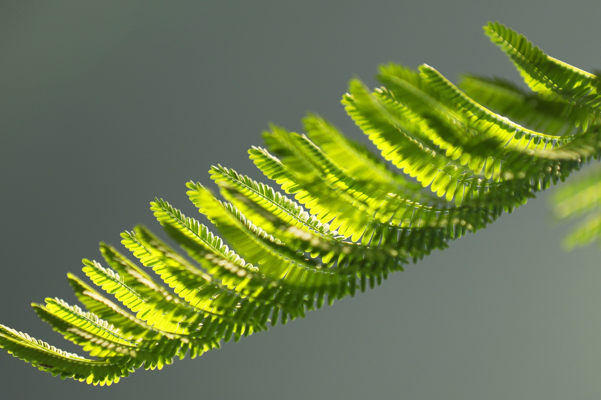 khong khi mua thu o Ha Noi anh 54