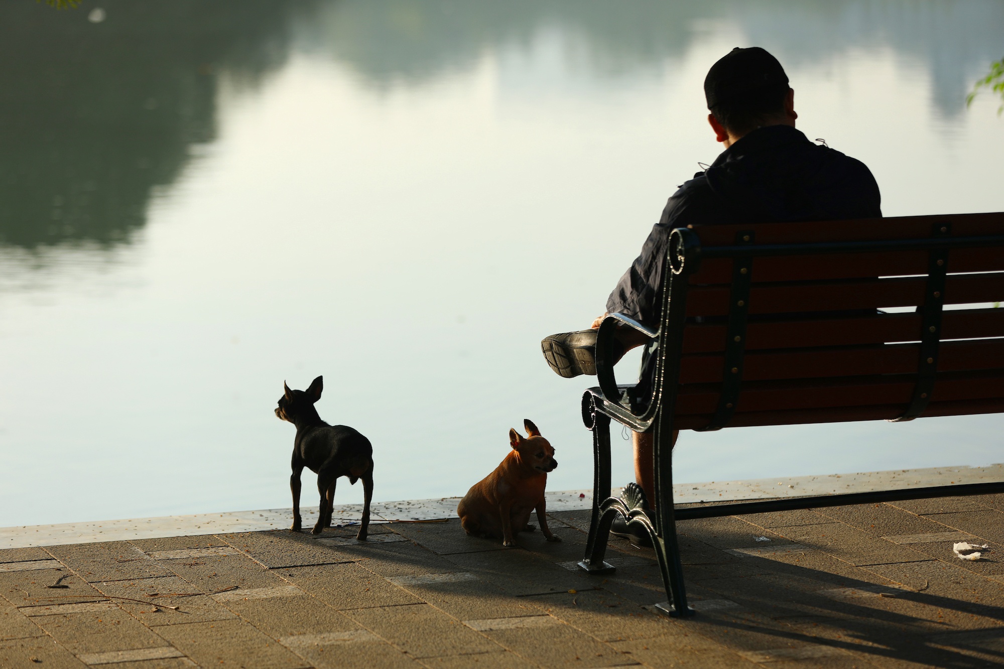 khong khi mua thu o Ha Noi anh 10