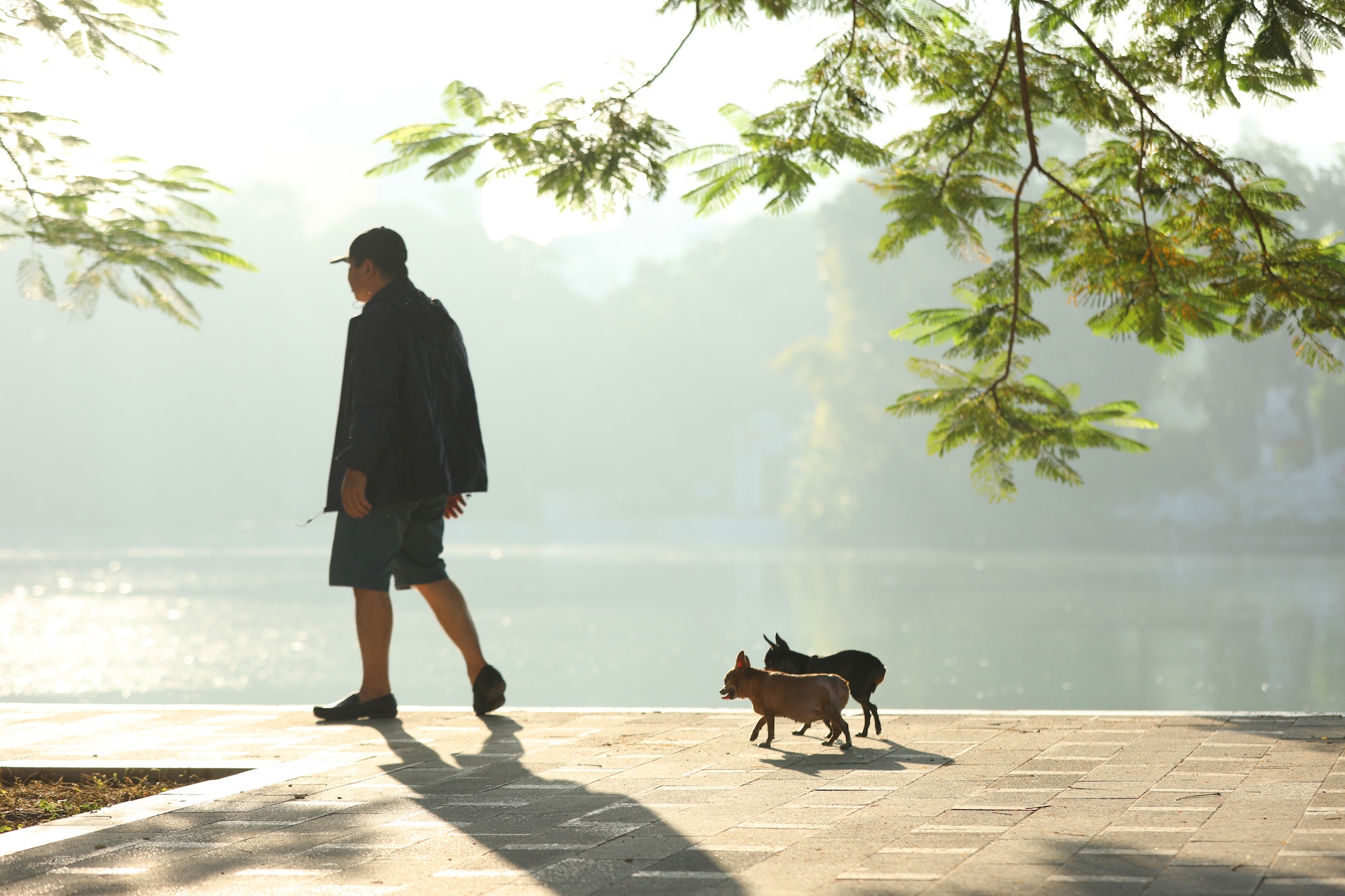 khong khi mua thu o Ha Noi anh 11