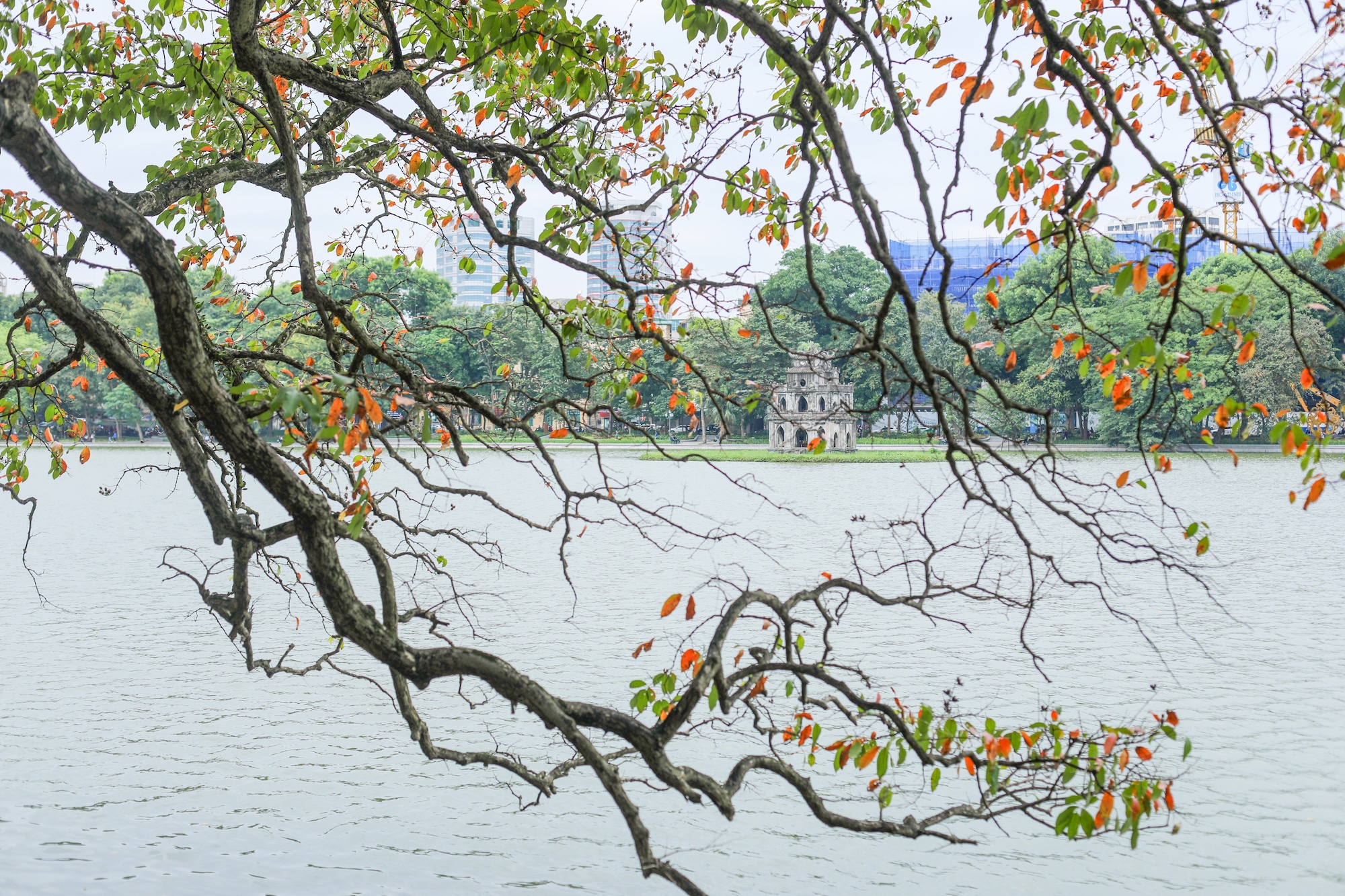 khong khi mua thu o Ha Noi anh 56