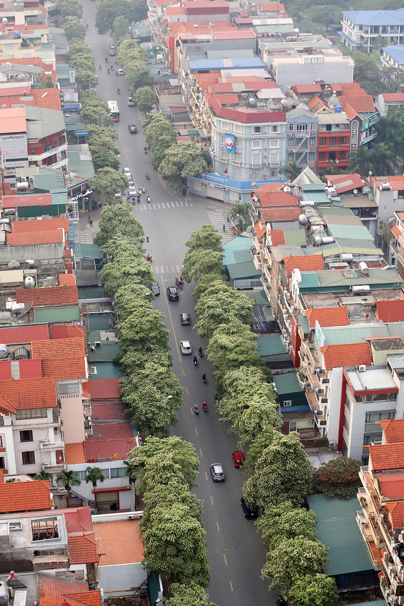 khong khi mua thu o Ha Noi anh 17