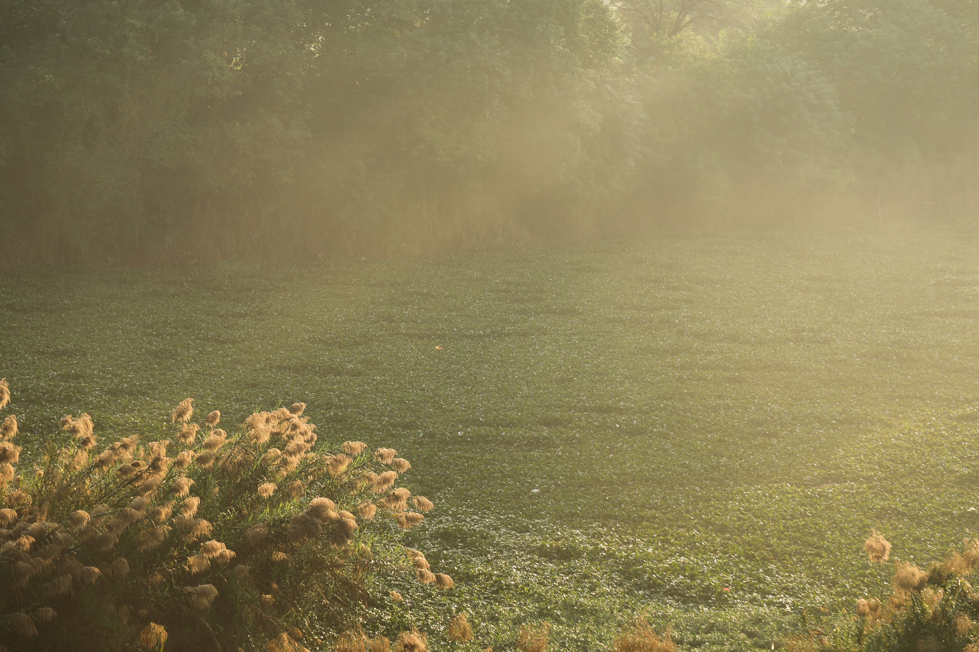 khong khi mua thu o Ha Noi anh 18