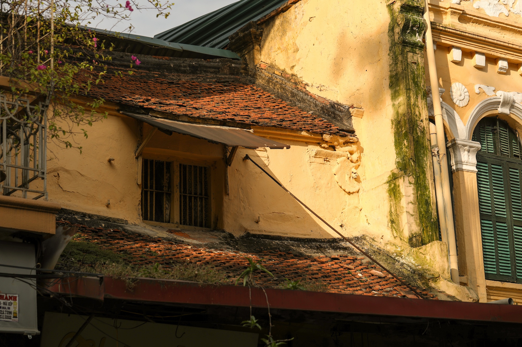 khong khi mua thu o Ha Noi anh 23