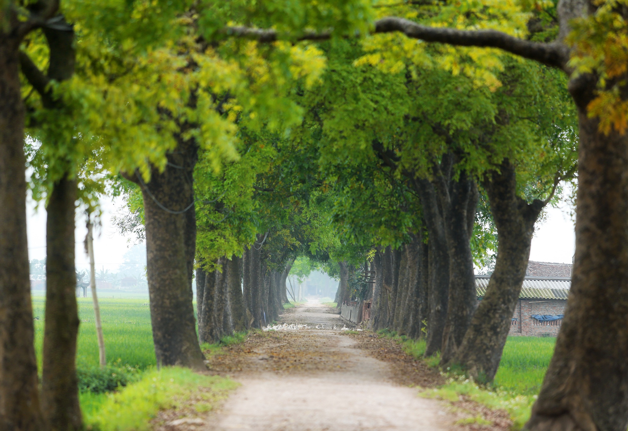 khong khi mua thu o Ha Noi anh 28