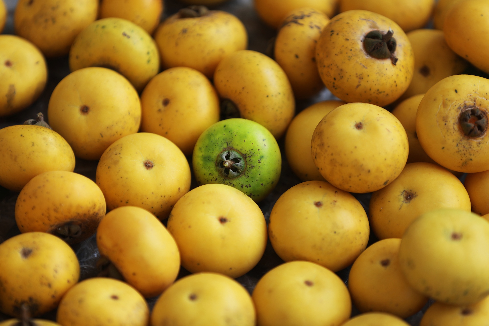 khong khi mua thu o Ha Noi anh 31