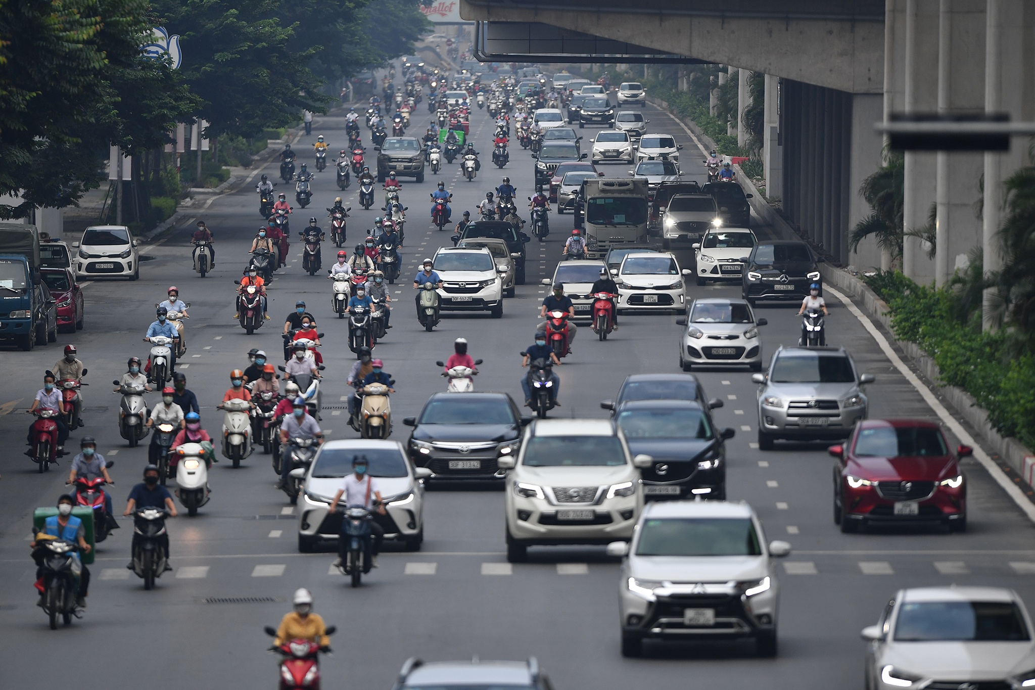 xe co dong duc tren pho anh 8