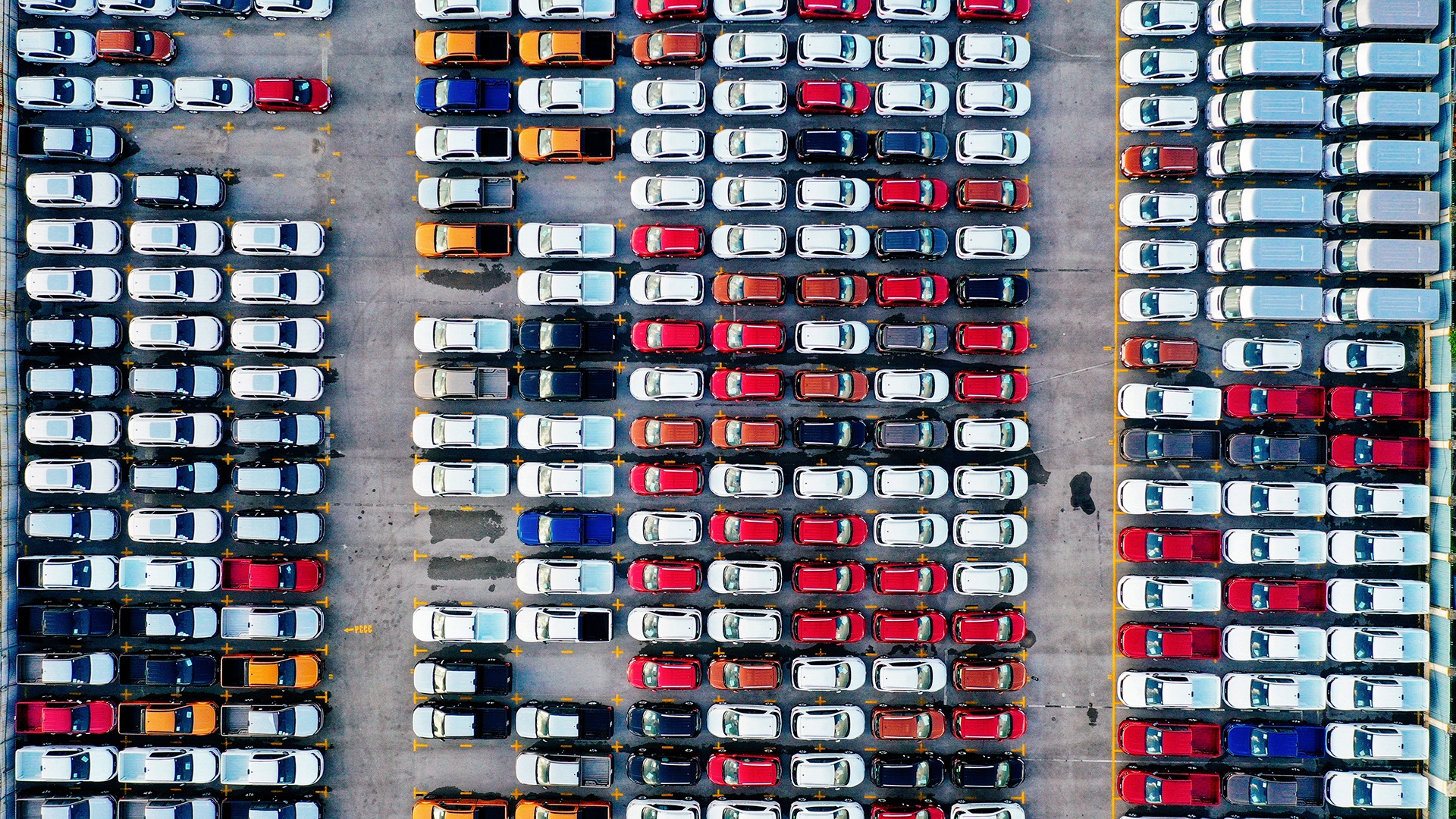 50 ngay gian cach xa hoi o Ha Noi anh 46